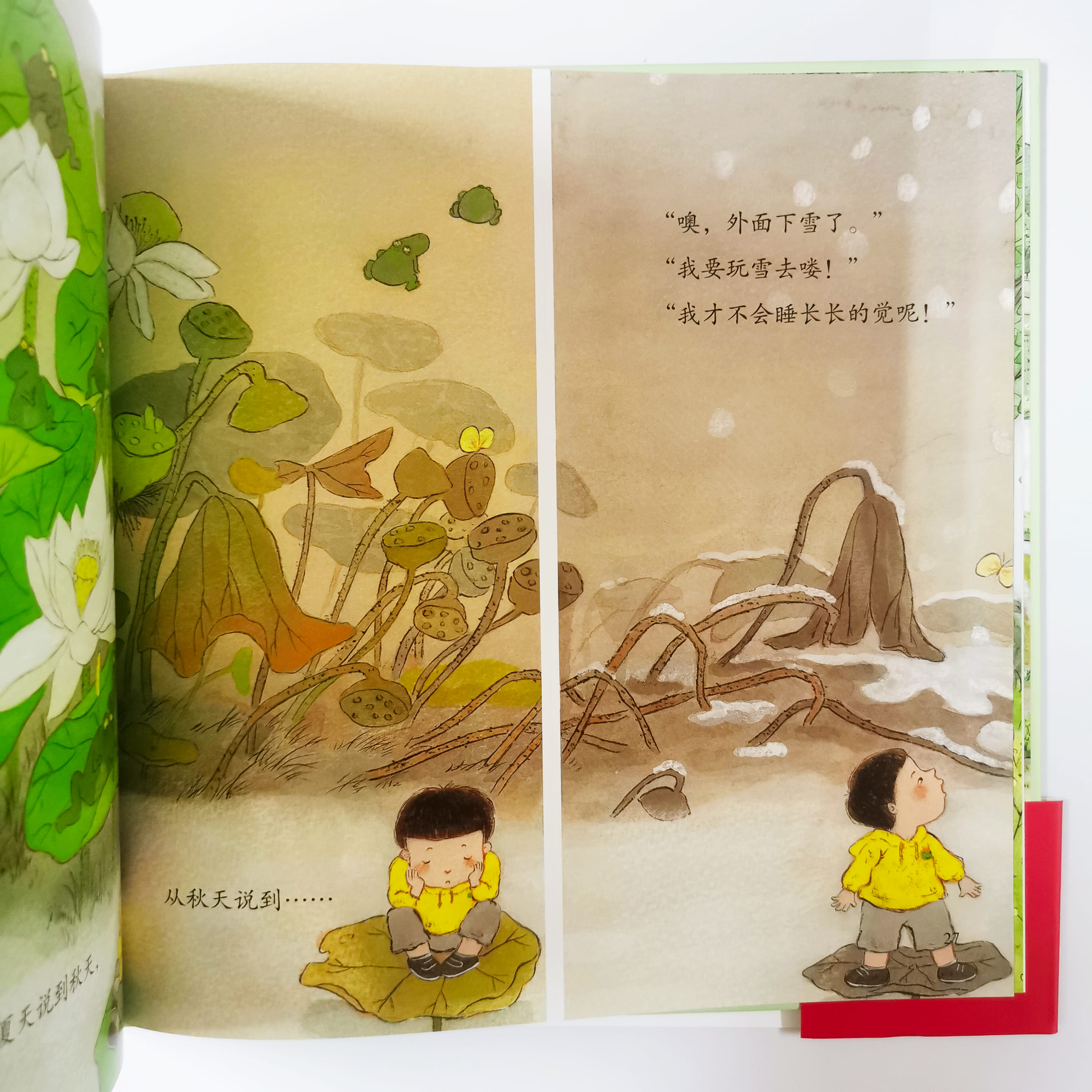 青蛙与男孩 The Frog and the Boy