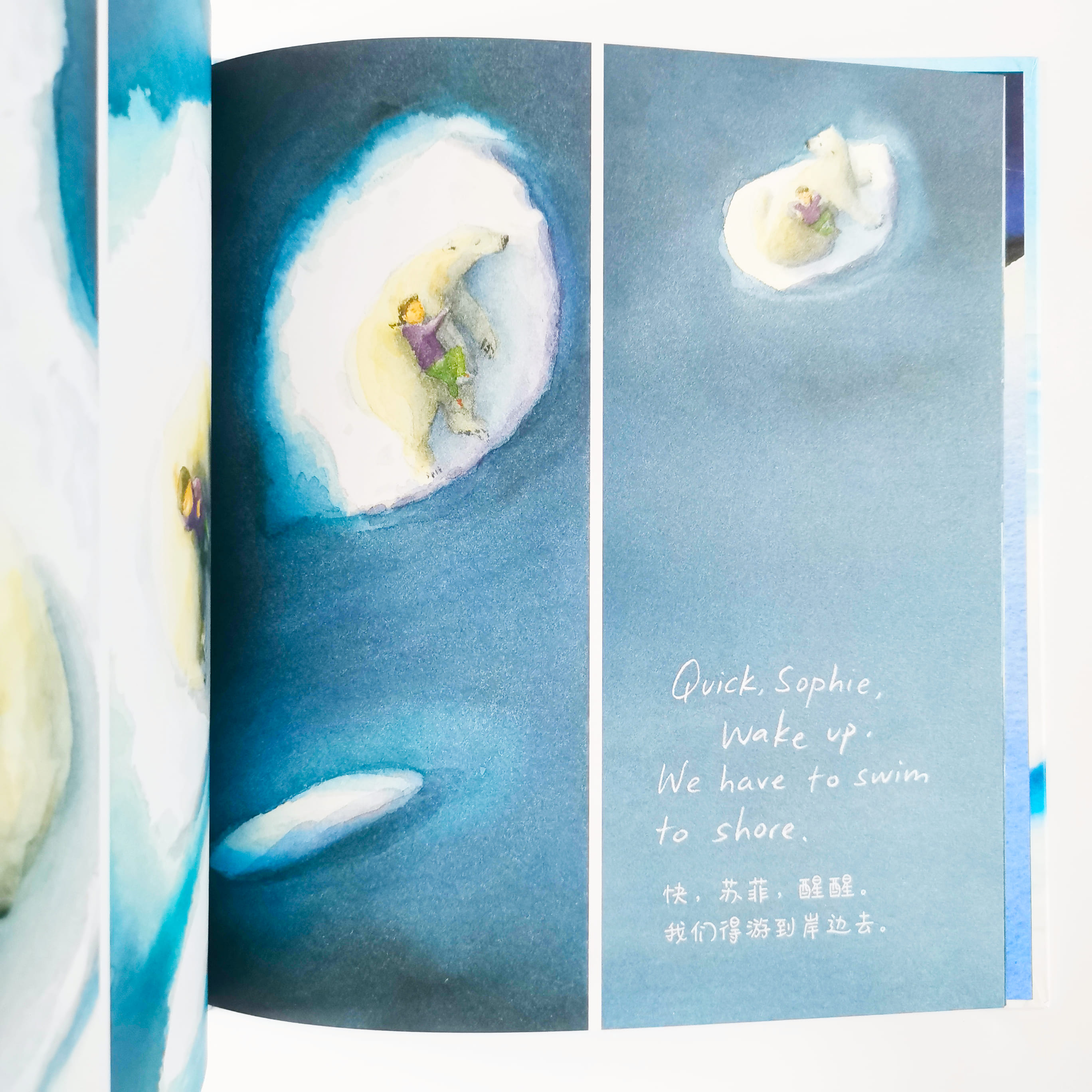 The Bear Report 北极能报告