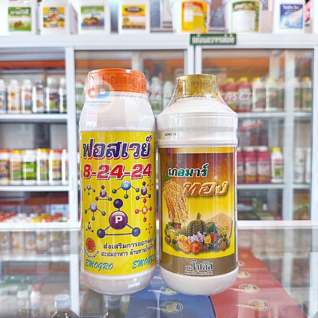 (ชุด2ขวด) ปุ๋ยน้ำฟอสเวย์ 8-24-24 ขนาด1 ลิตร ส่งเสริมการออกดอก+เกอมาร์ ทอง - แมกนีเซียม ,โบรอน ช่วยกระตุ้นการแตกราก