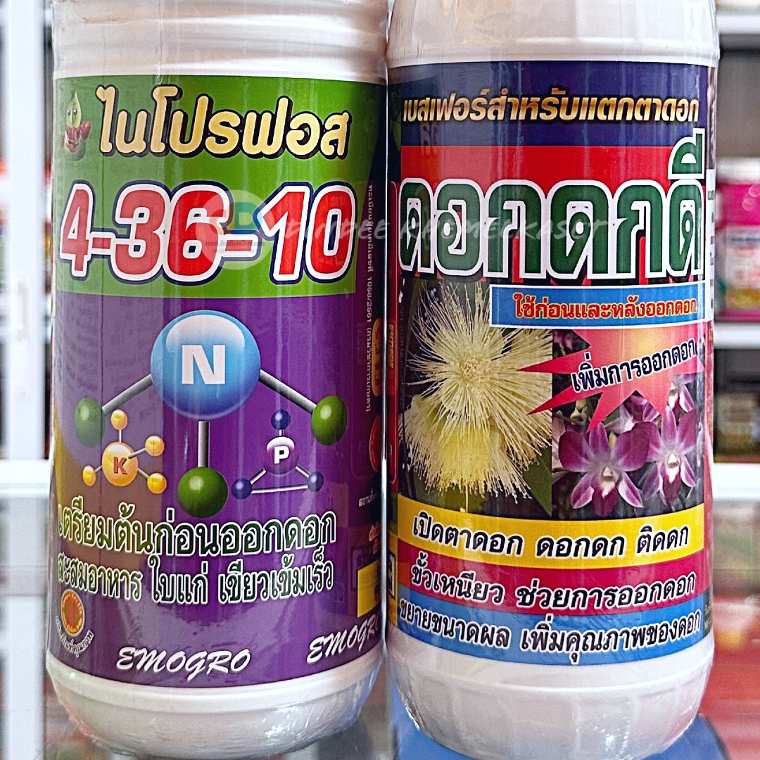 (ชุด2ขวด)ปุ๋ยน้ำ 4-36-10 ขนาด1ลิตร สูตรเตรียมต้นก่อนออกดอก สะสมอาหาร ใบแก่+ดอกดกดี เบสฟอร์+ อาหารเสริมสารสกัดจากธรรมชาติ