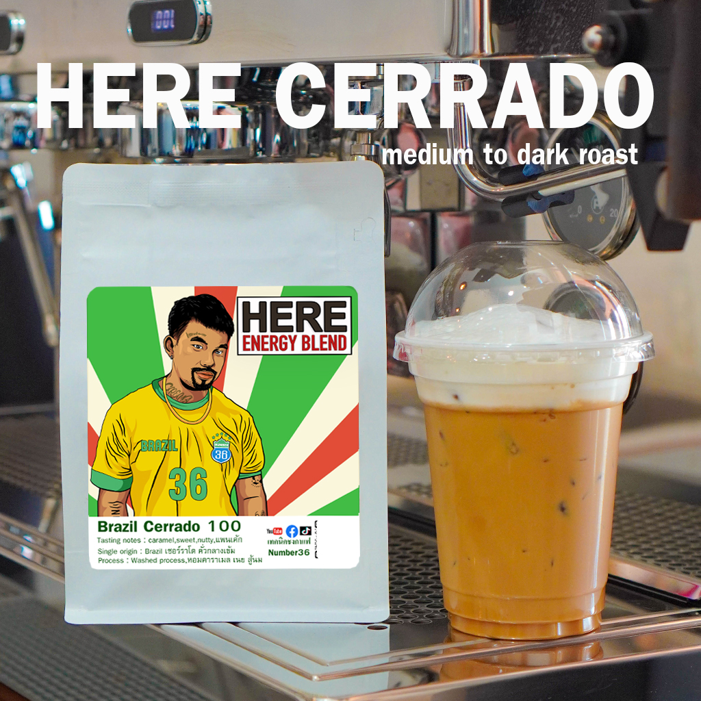 M19 : HERE BRAZIL CERRADO 100% SIGNATUER : เมล็ดกาแฟบราซิลเซอร์ราโดซิกเนเจอร์ : ช็อคโกเลตอัลมอนด์