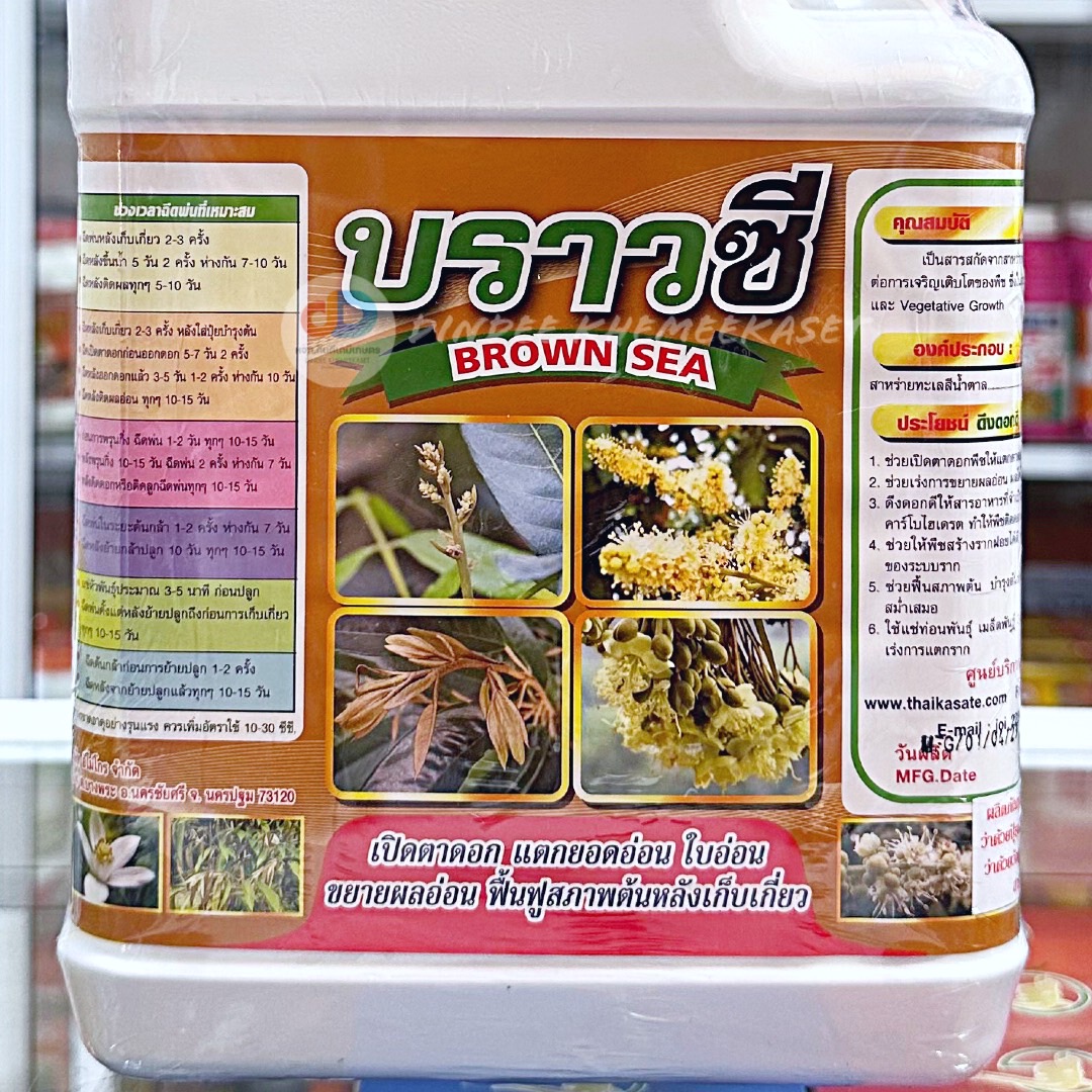 บราวซี 5ลิตร (BROWN SEA) สาหร่ายทะเลสีน้ำตาล 20%w/w #เปิดตาดอก แตกยอดใบอ่อน