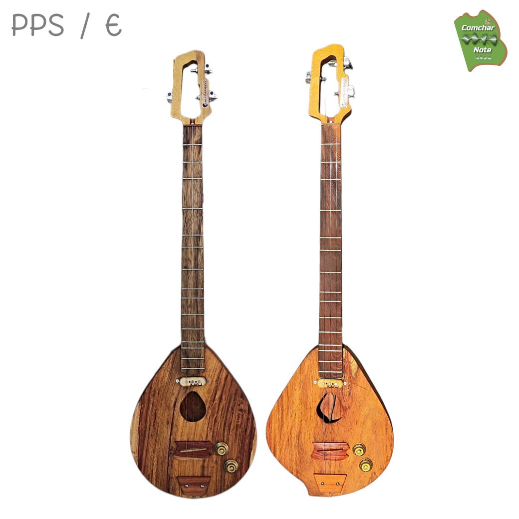 พิณโปร่งไฟฟ้าคำชะโนด รุ่น โพนพิสัย / PPS E