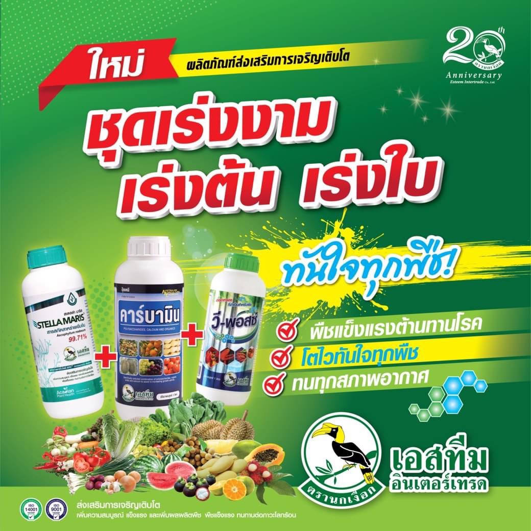 ชุด เร่งต้น เร่งงาม เร่งใบ สเตลล่า มาริส +คาร์บามิน + วี-พอสซ์ ของ เอสทีม ขนาด 1 ลิตร ช่วยพืชแข็งแรง โตไวทันใจ