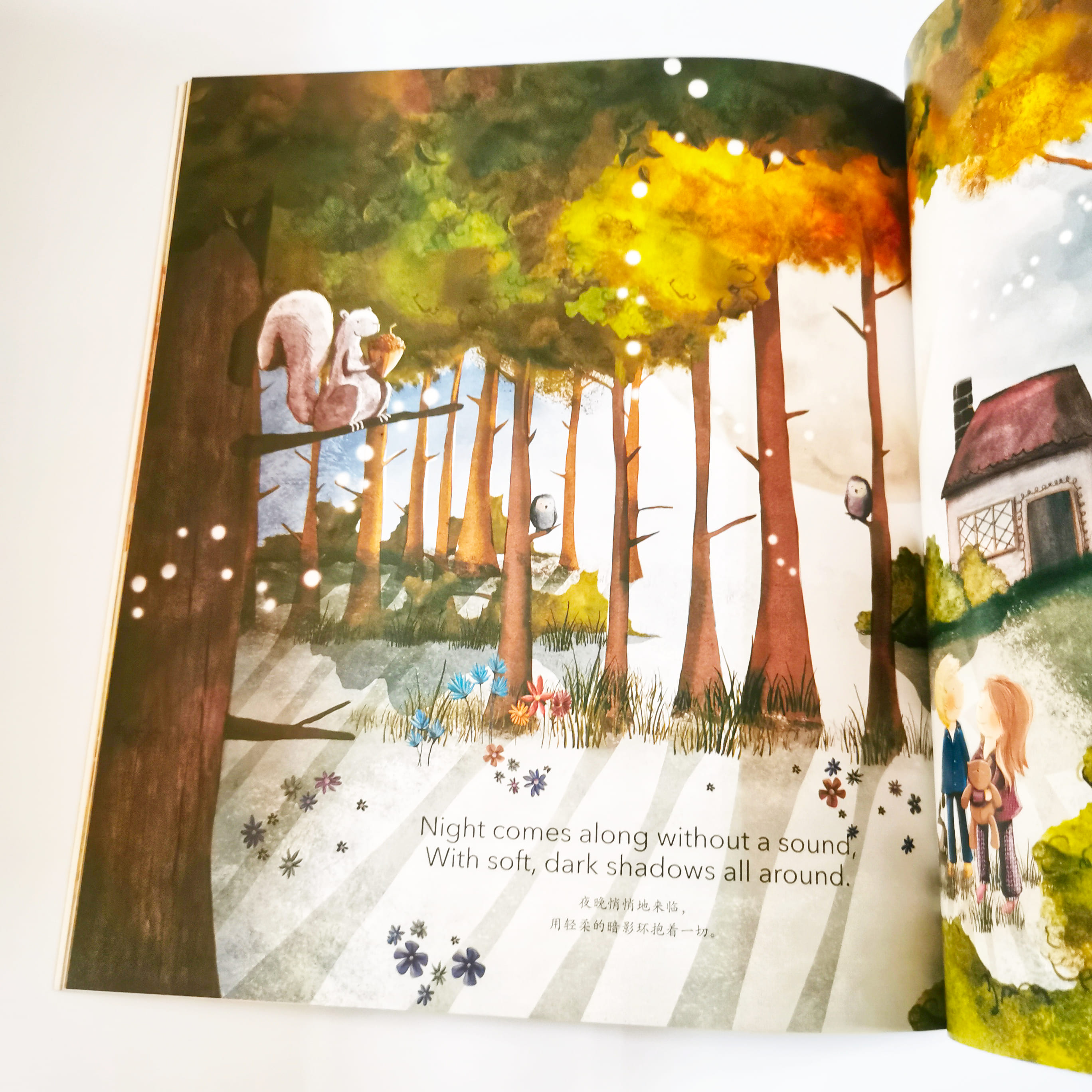 Wish Upon a Dream 在梦里, 做好梦