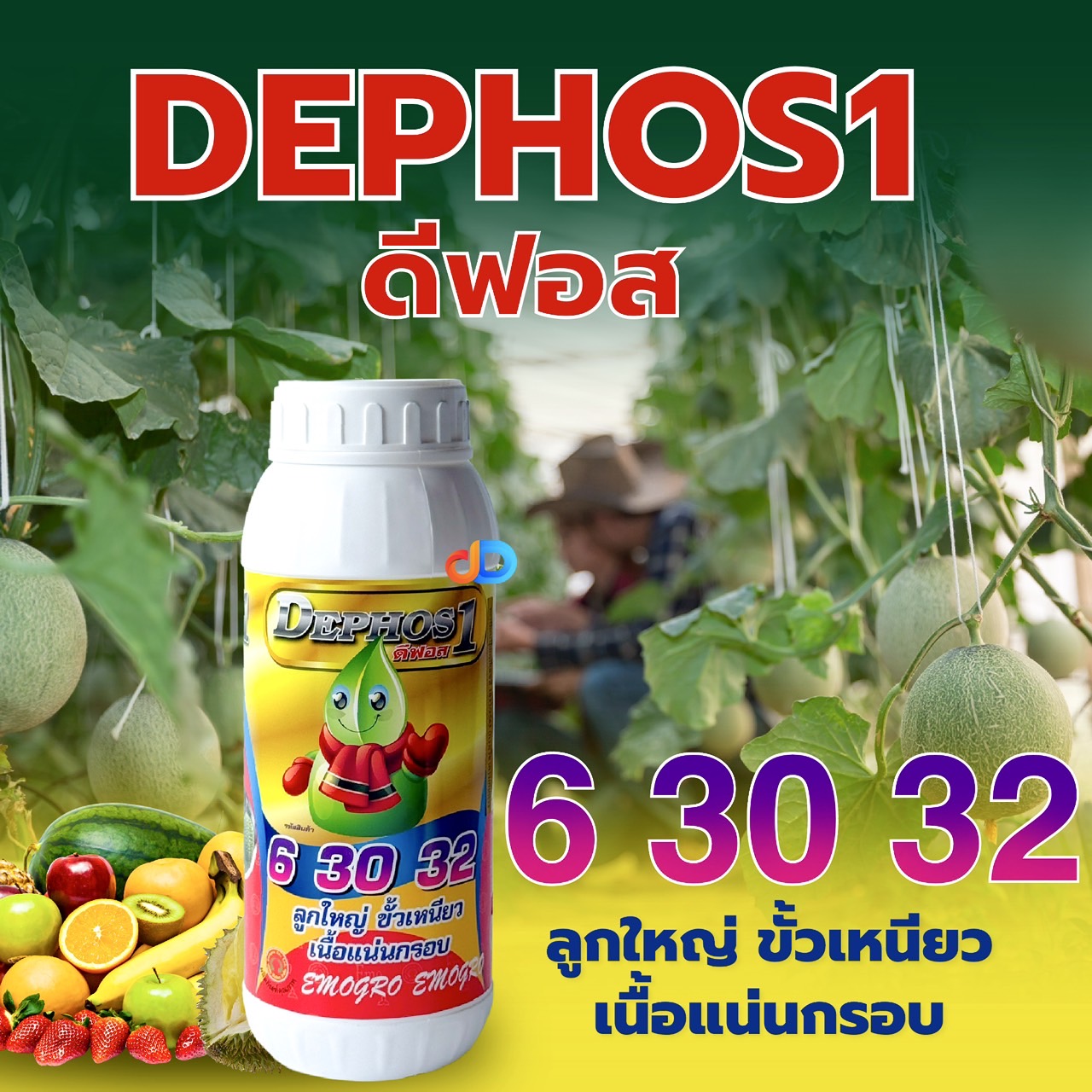 ดีฟอส 1 ปุ๋ยน้ำ 6 30 32 (4-14-20) : อีโม่โกร ขนาด 1 ลิตร ลูกใหญ่ ขั้วเหนียว เนื้อแน่นกรอบ