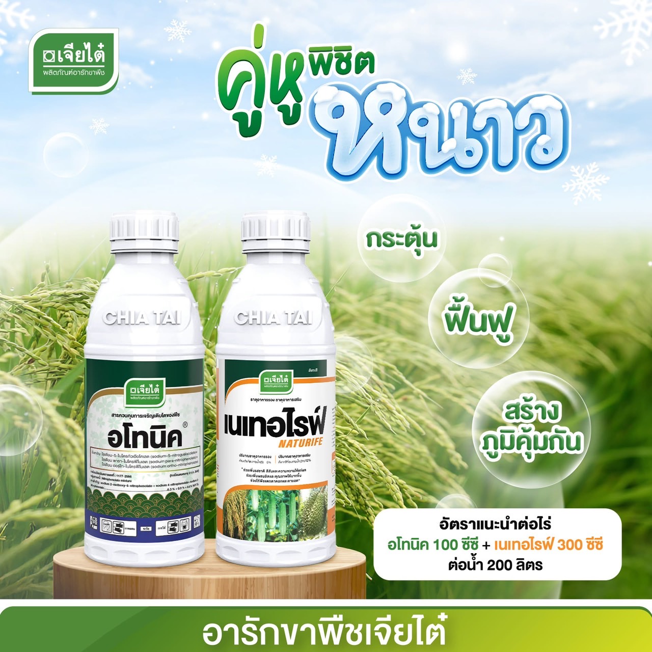 ชุด ต้านหนาว -ตราเจียไต๋ อโทนิค ขนาด 500 ซีซี+ เนเทอไรฟ์ ขนาด 1 ลิตร พิชิดหนาว ช่วยกระตุ้น ฟื้นฟู สร้างภูมิคุ้มกัน