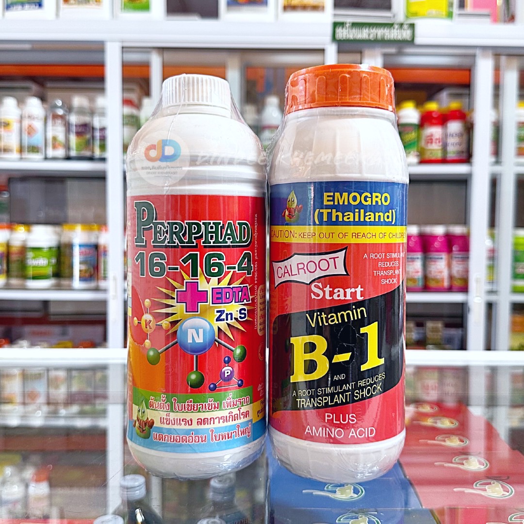 (ชุด2ขวด)ปุ๋ยน้ำ 16-16-4 +EDTA ขนาด 1 ลิตร สูตรต้นตั้ง เพิ่มราก แตกยอดอ่อน ใบหนาใหญ่+VitaminB-1#สารกระตุ้นรากพืช