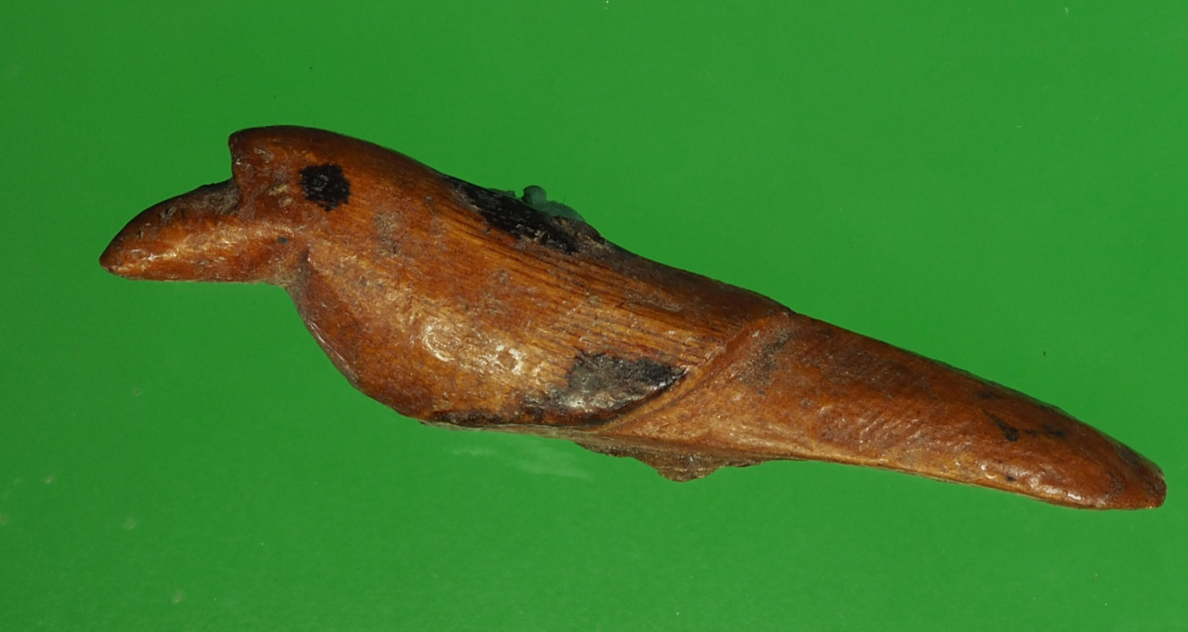 A239 สาลิกาไม้แกะไม่ทราบอาจารย์ พอมีอายุ 12