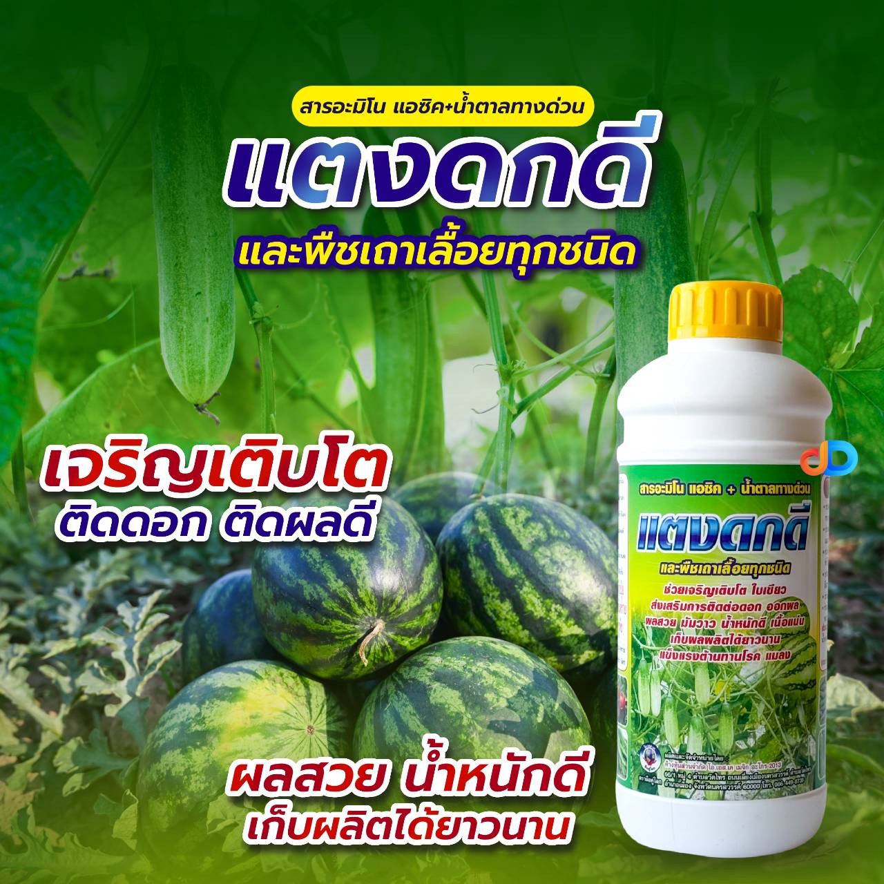 แตงดกดี -สารอะมิโนแอซิค+น้ำตาลทางด่วน ขนาด1 ลิตร พืชเถาเลื้อยทุกชนิด ช่วยเจริญเติบโต ใบเขียว ออกผล ผลสวย มันวาว