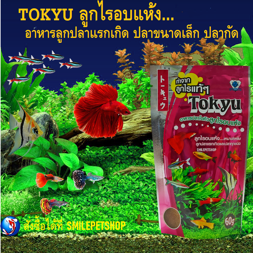 Tokyu ลูกไรอบแห้ง 60 g.(อาหารสำหรับลูกปลาแรกเกิด และปลาขนาดเล็กทุกชนิด)