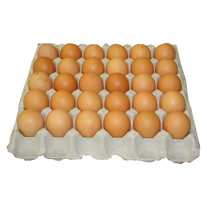 M-0060017 ไข่ไก่เบอร์ 2 (แผง) #