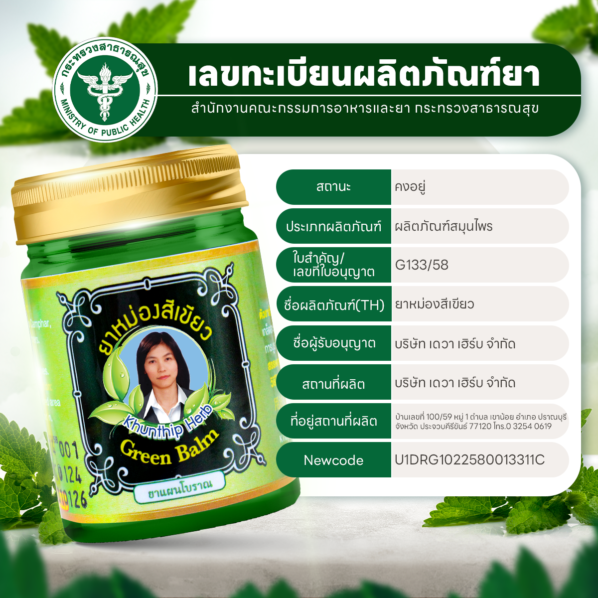 ยาหม่องสมุนไพรคุณทิพย์ ยาหม่องสีเขียว (Khunthip Green Herbal Balm 50g) ยาหม่องน้ำมันสีเขียว สูตรเสลดพังพอน ขนาด 50 กรัม