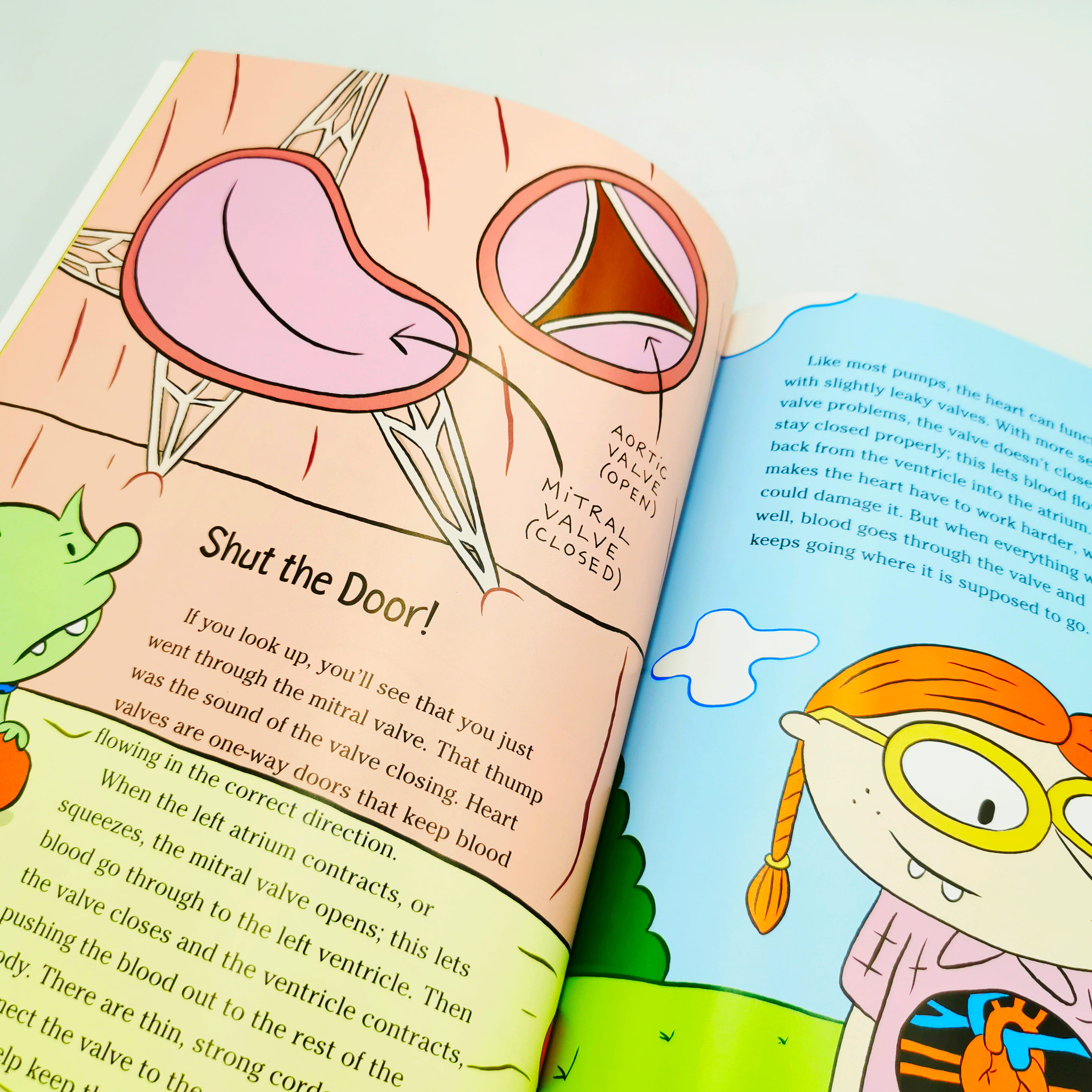 The Circulatory Story