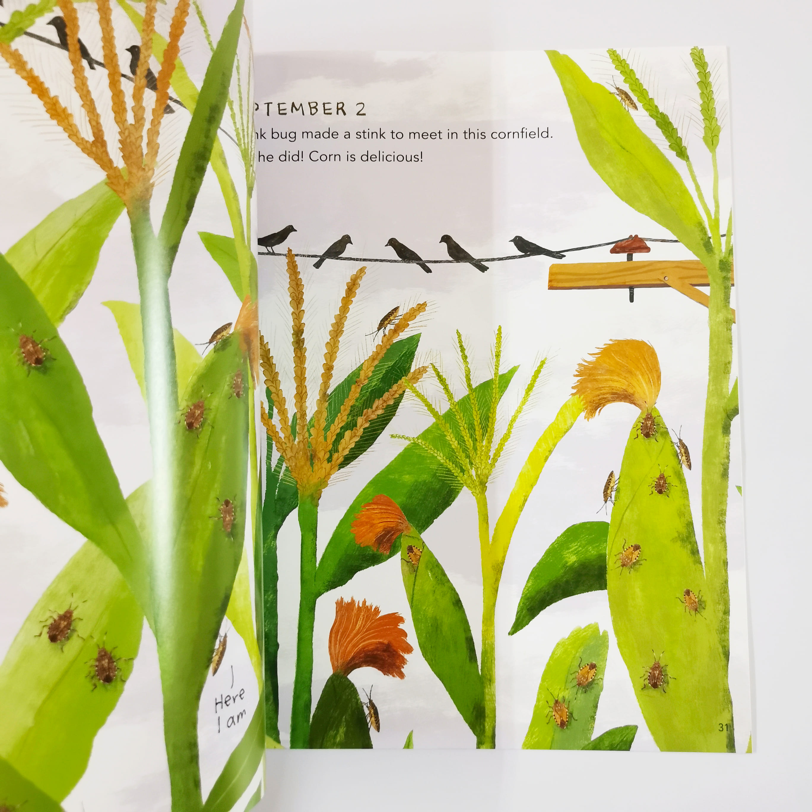 My Stinky Summer by S. Bug