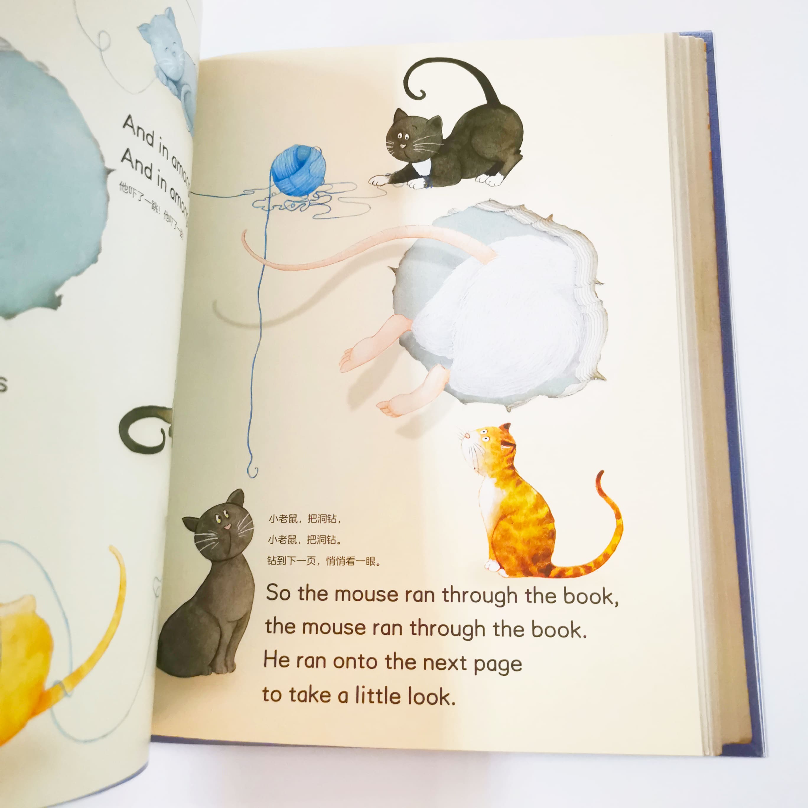 Count to 10 with a mouse 从 1 ”鼠” 到 10