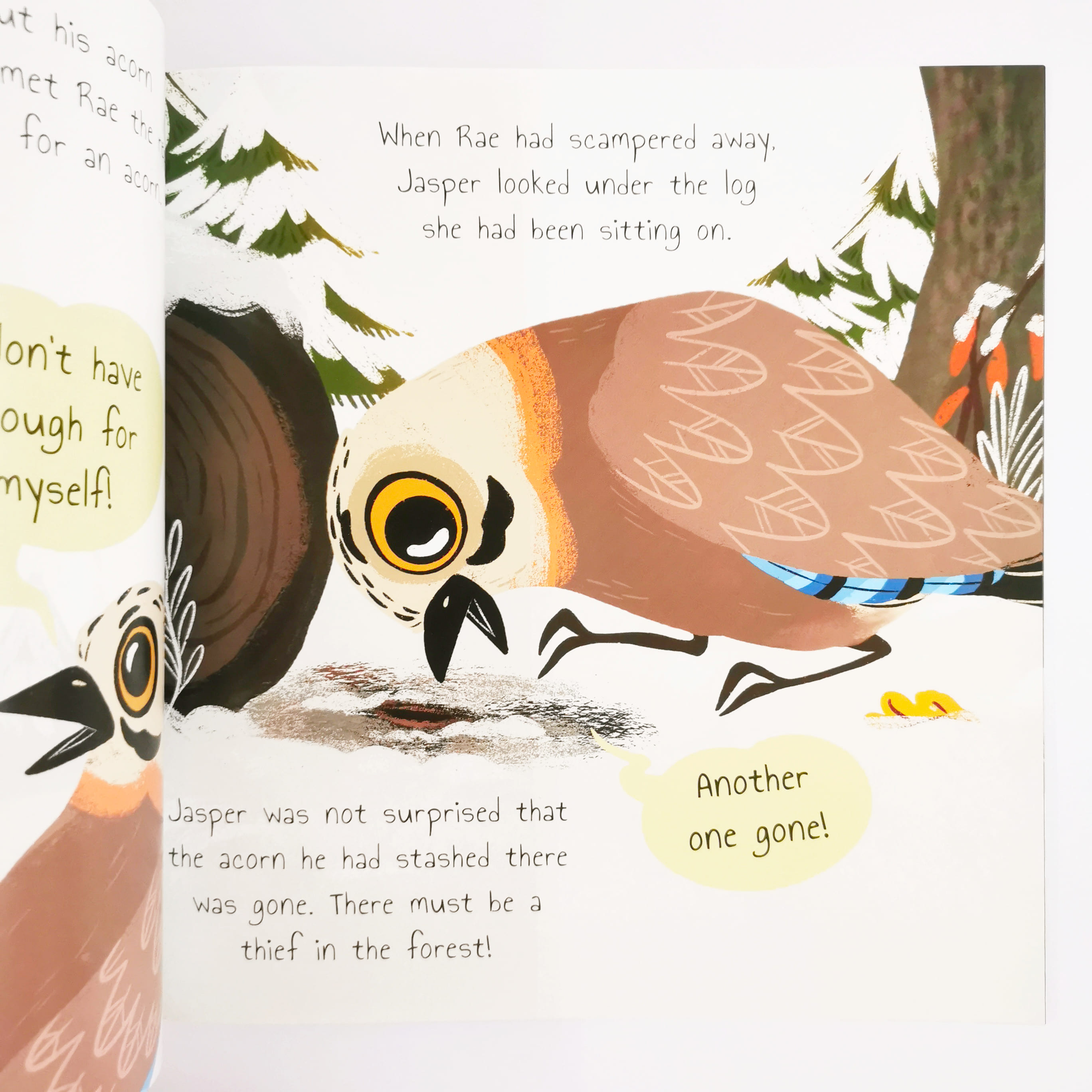 Jasper The Jay (Woodland Tales)