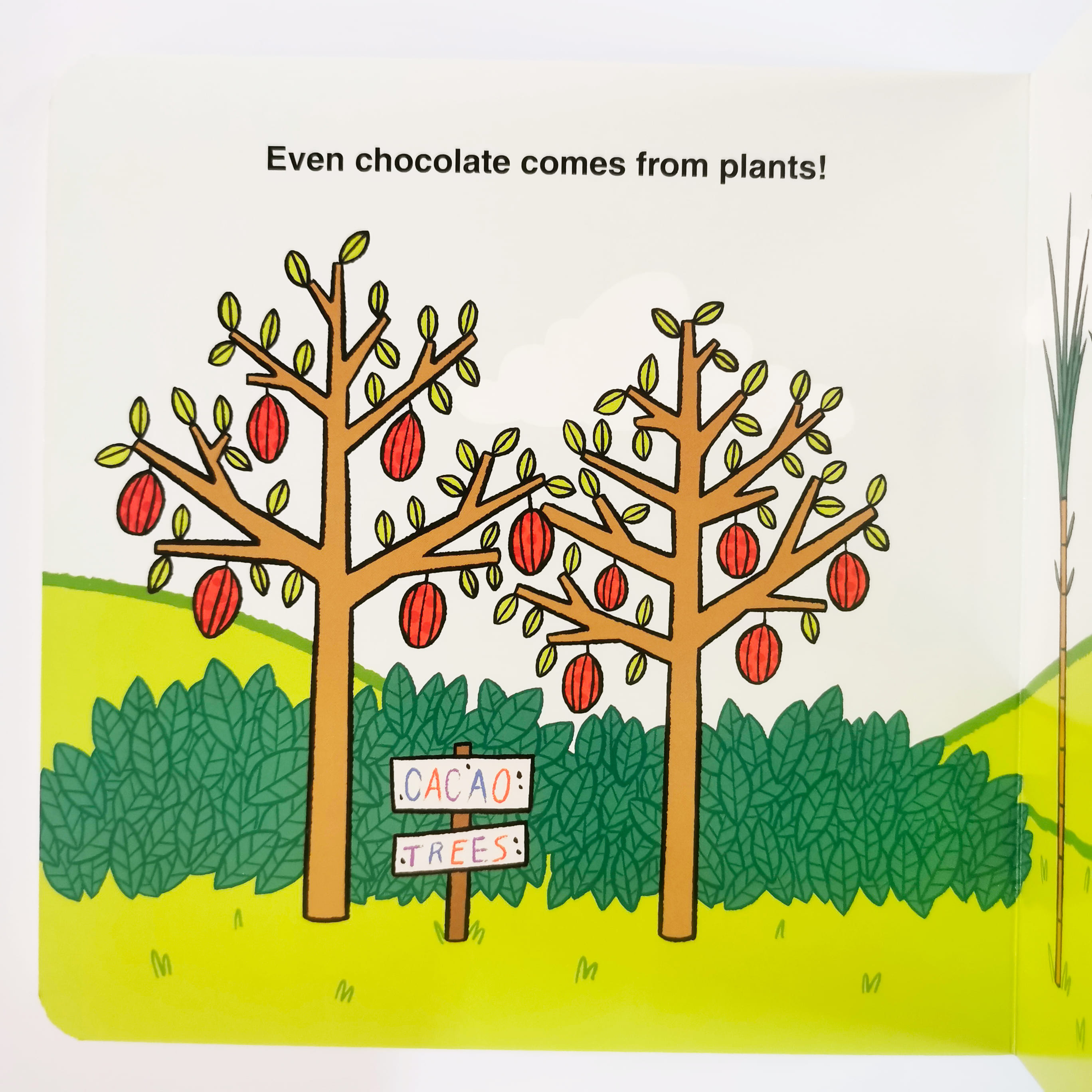 Baby Botanist (Baby Scientist)