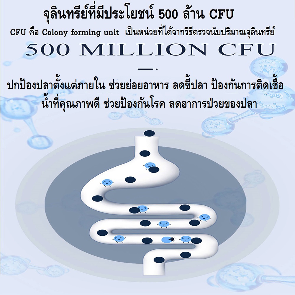 YEE LIQUID STATE NITRIFIER 650ml.(จุลินทรีย์สดแบบมีชีวิต สลายของเสีย ขี้ปลา ลดปัญหาคุณภาพน้ำ ปกป้องสุขภาพปลา เห็นผลไว)