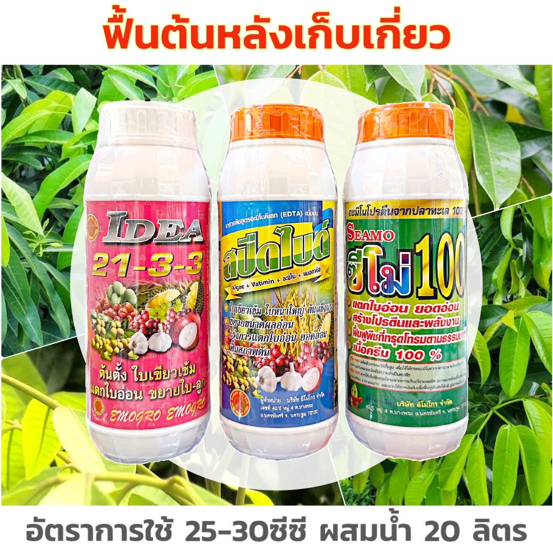 ชุดฟื้นต้นหลังเก็บเกี่ยว 21-3-3+สปีดไบด์+ซีโม่100 สูตรตั้นต้น เร่งการแตกใบอ่อน ช่วยฟื้นฟูพืชที่ทรุดโทรม
