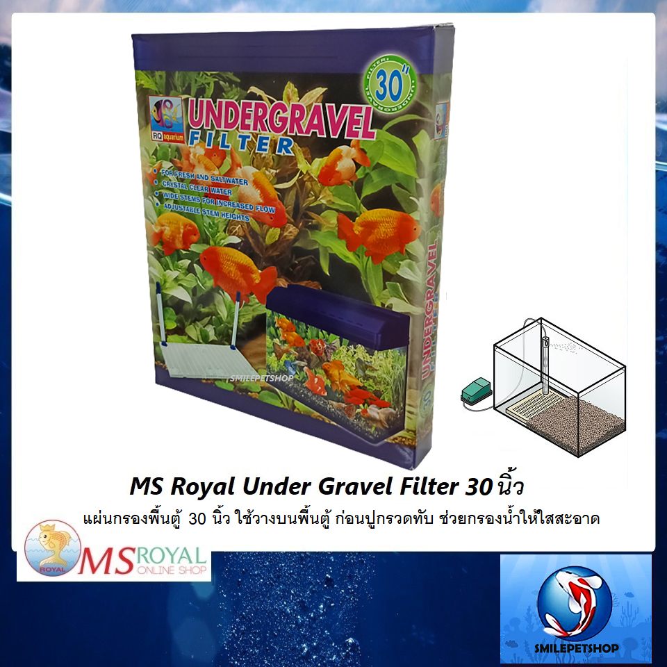 MS Royal Under Gravel Filter แผ่นกรองพื้นตู้ 30 นิ้ว(ใช้วางบนพื้นตู้ ก่อนปูกรวดทับ ช่วยกรองน้ำให้ใสสะอาด)