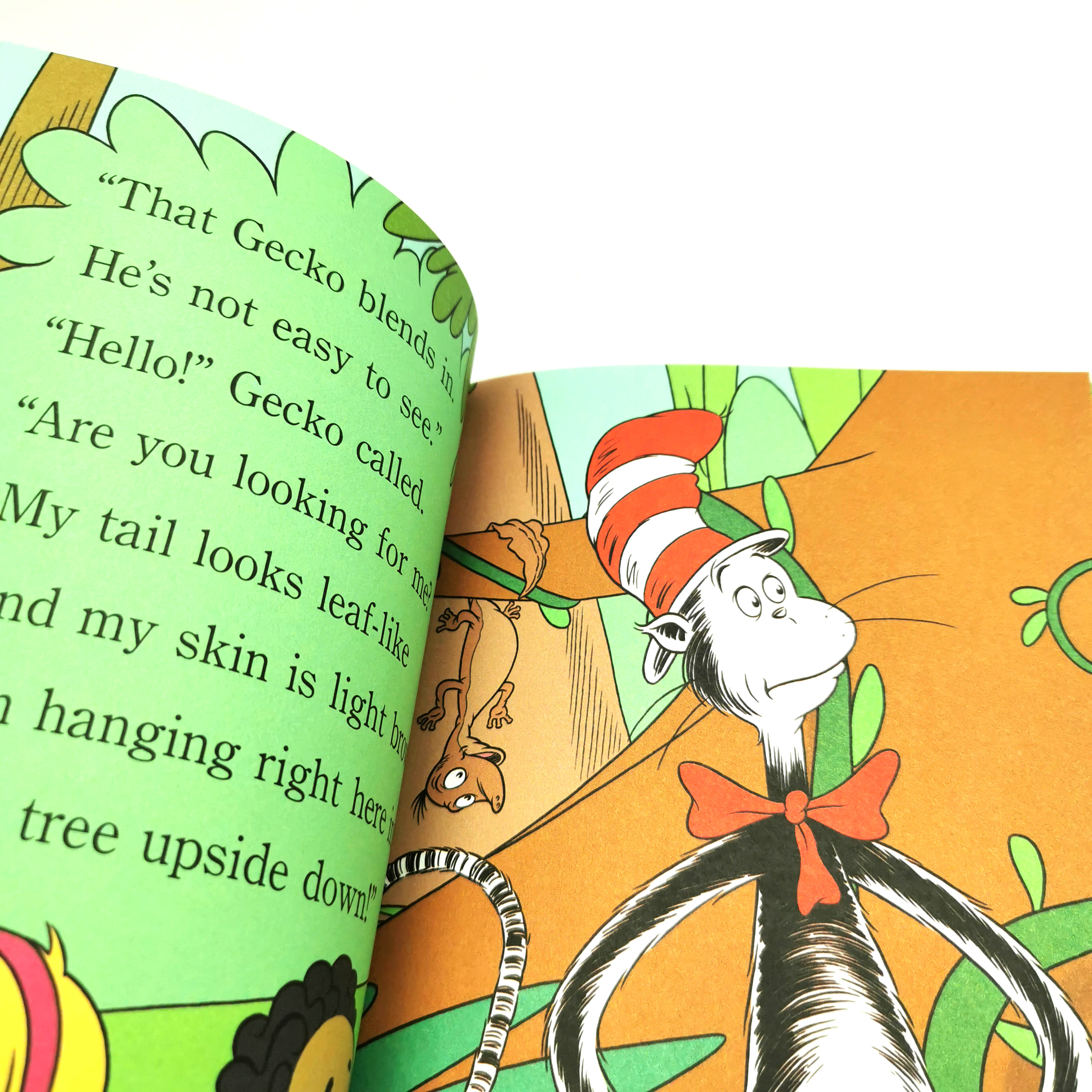 Now You See Me… (Dr.Seuss)