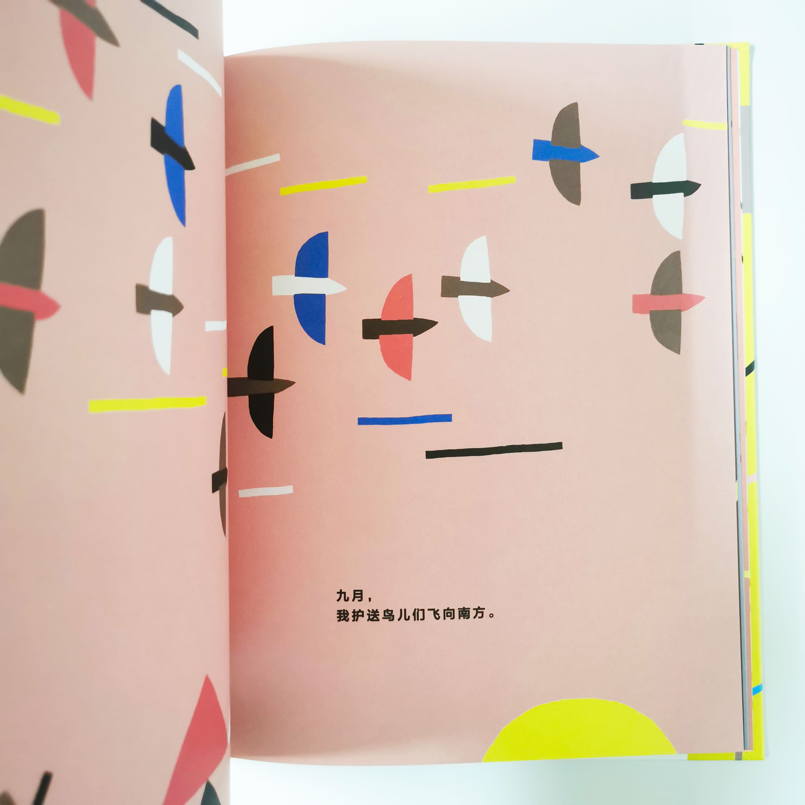 四季有风 A Year with the Wind