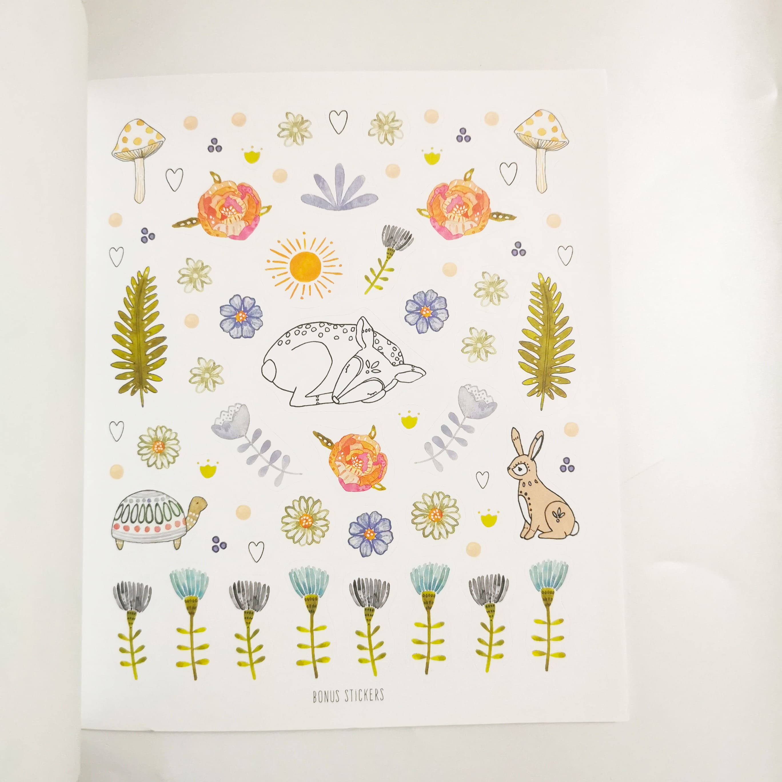 Draw, Color, and Sticker Into the Wild Sketchbook