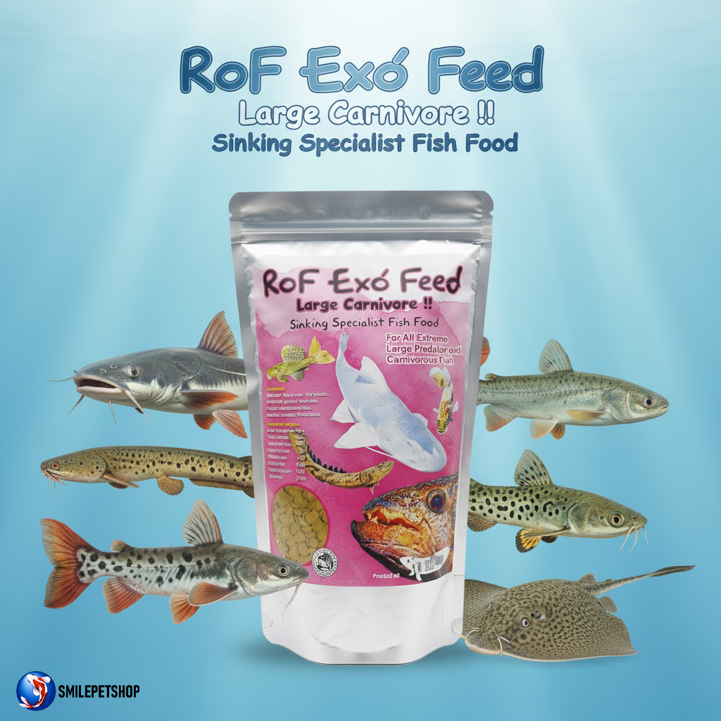 RoF Exo' Feed Large Carnivore Sinking Special Fish Food 1000g.ถุงชมพู(อาหารปลาเม็ดจมน้ำสำหรับปลากินเนื้อ โปรตีนสูง)
