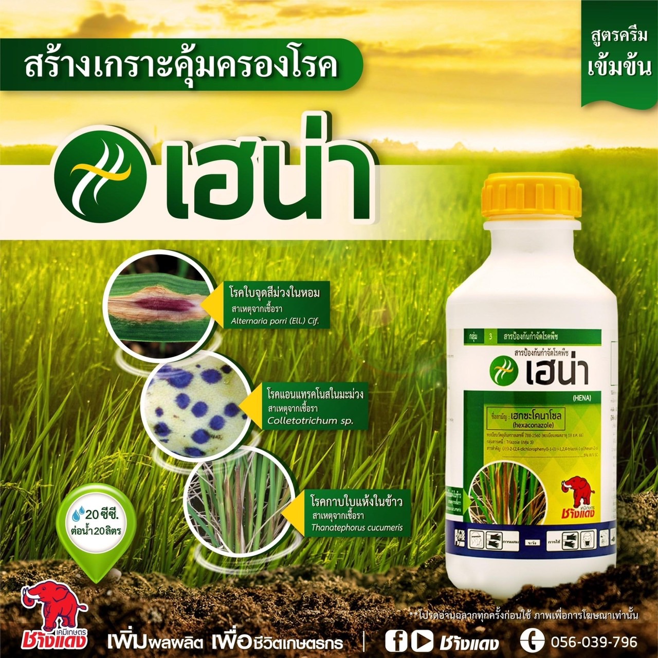 เฮน่า - เฮกซะโคนาโซล 5% เอสซี ขนาด 1 ลิตร ป้องกันกำจัดโรคเมล็ดด่างโรคราแป้ง โรคใบจุดสีน้ำตาล โรคใบขีดสีน้ำตาล ใบไหม้