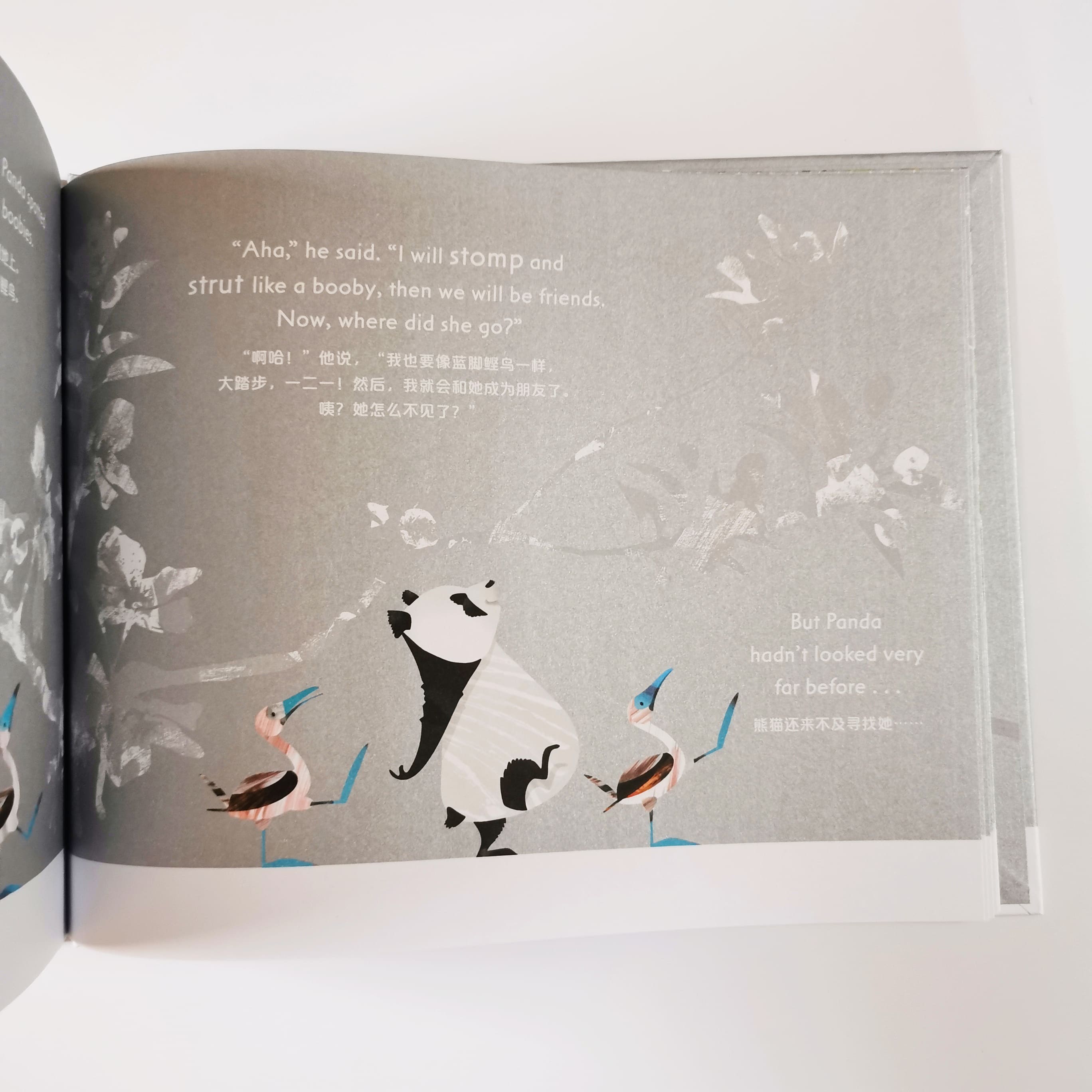 The Only Lonely Panda 我想和你交朋友