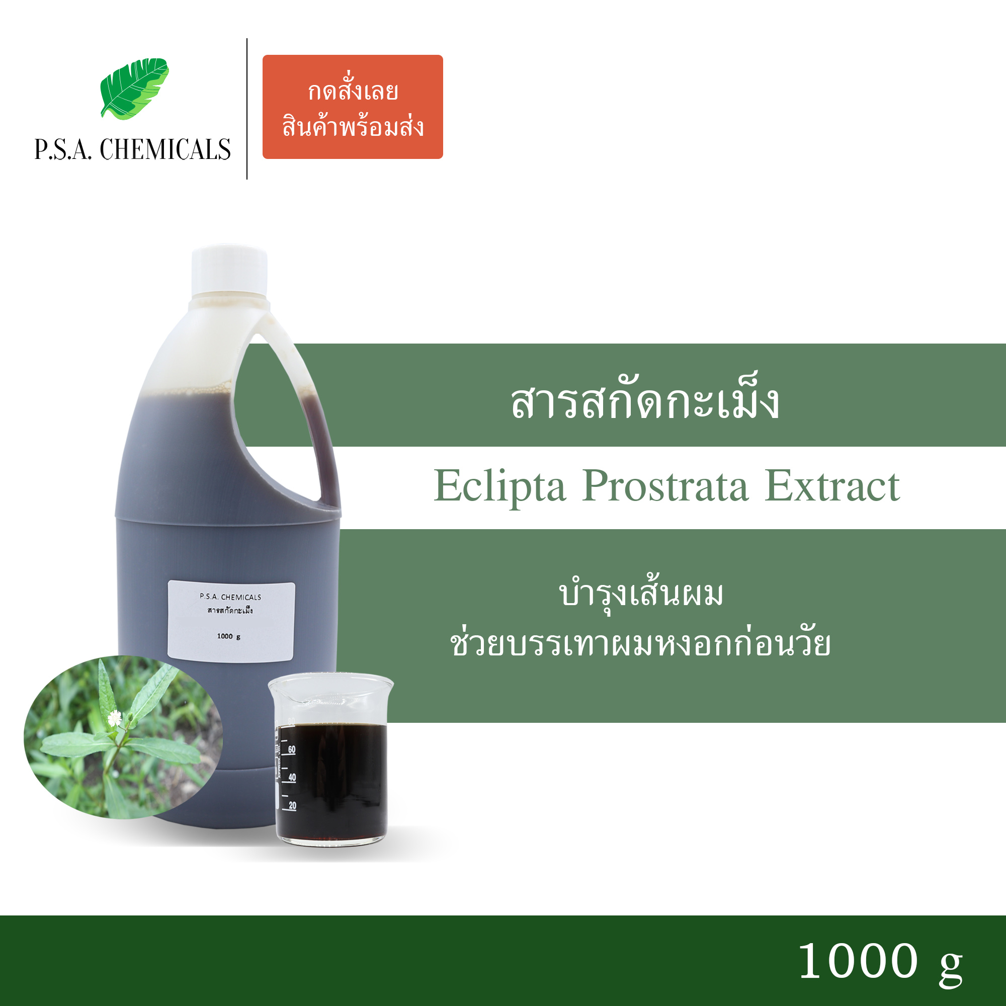 สารสกัดกะเม็ง Eclipta Prostrata Extract (สารสกัดใส่สบู่ ใช้เป็นส่วนผสมสำหรับเครื่องสำอางเท่านั้น) ขนาด 50 g / 100 g / 500 g / 1000 g
