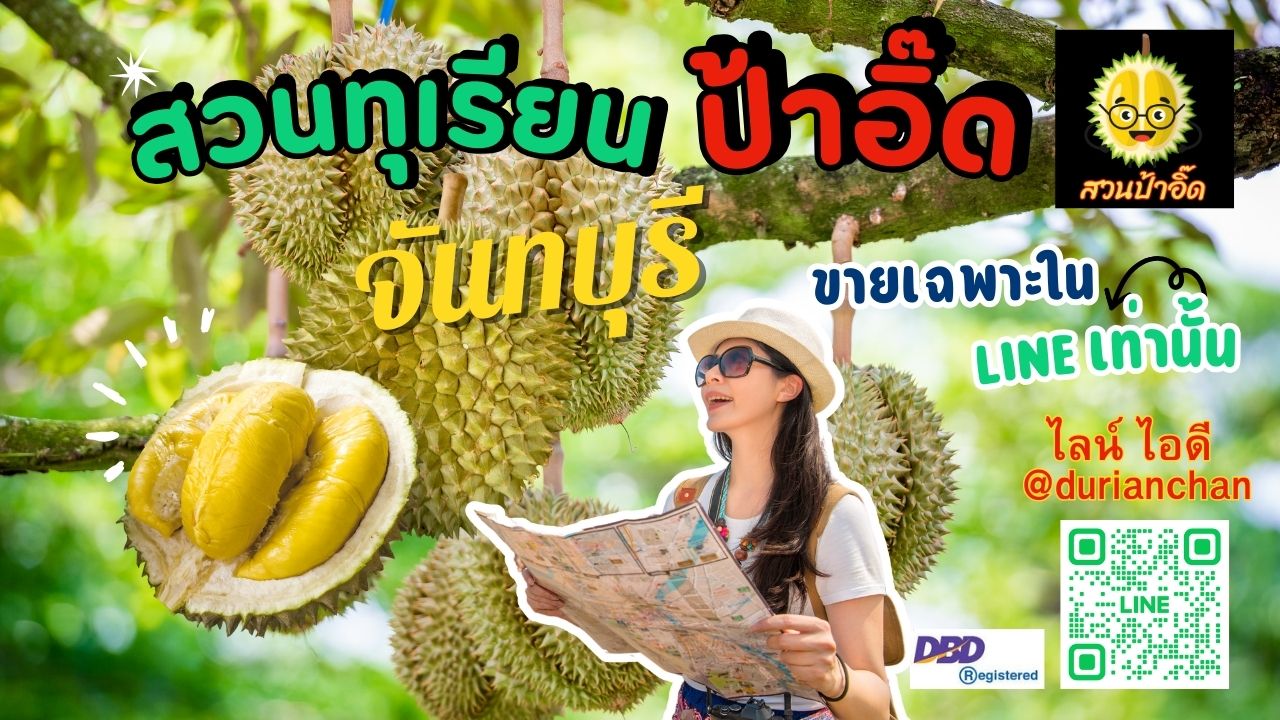 สวนทุเรียนจันทบุรี ป้าอิ๊ดวิถีธรรมชาติ ที่สุดของทุเรียนจันทบุรี