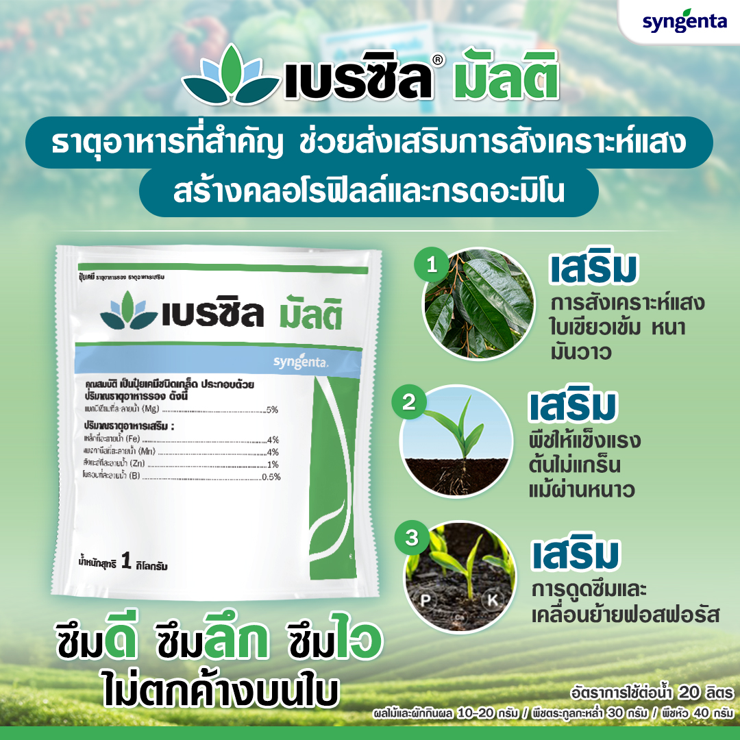 เบรซิล มัลติ : ขนาด 1กก. (syngenta) ปุ๋ยเคมี ธาตุอาหารรอง+เสริม ทำให้พืชแข็งแรง สมบูรณ์