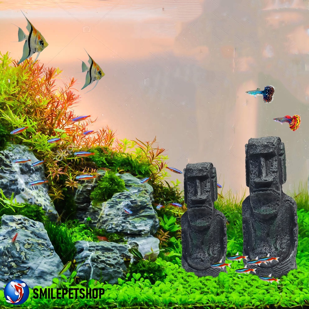 อีสเตอร์ โมอาย Moai Easter Island(เรซินโมอายเกาะอีสเตอร์ สำหรับตกแต่งตู้ปลา ลวดลายหินธรรมชาติ เพิ่มความสวยงาม)