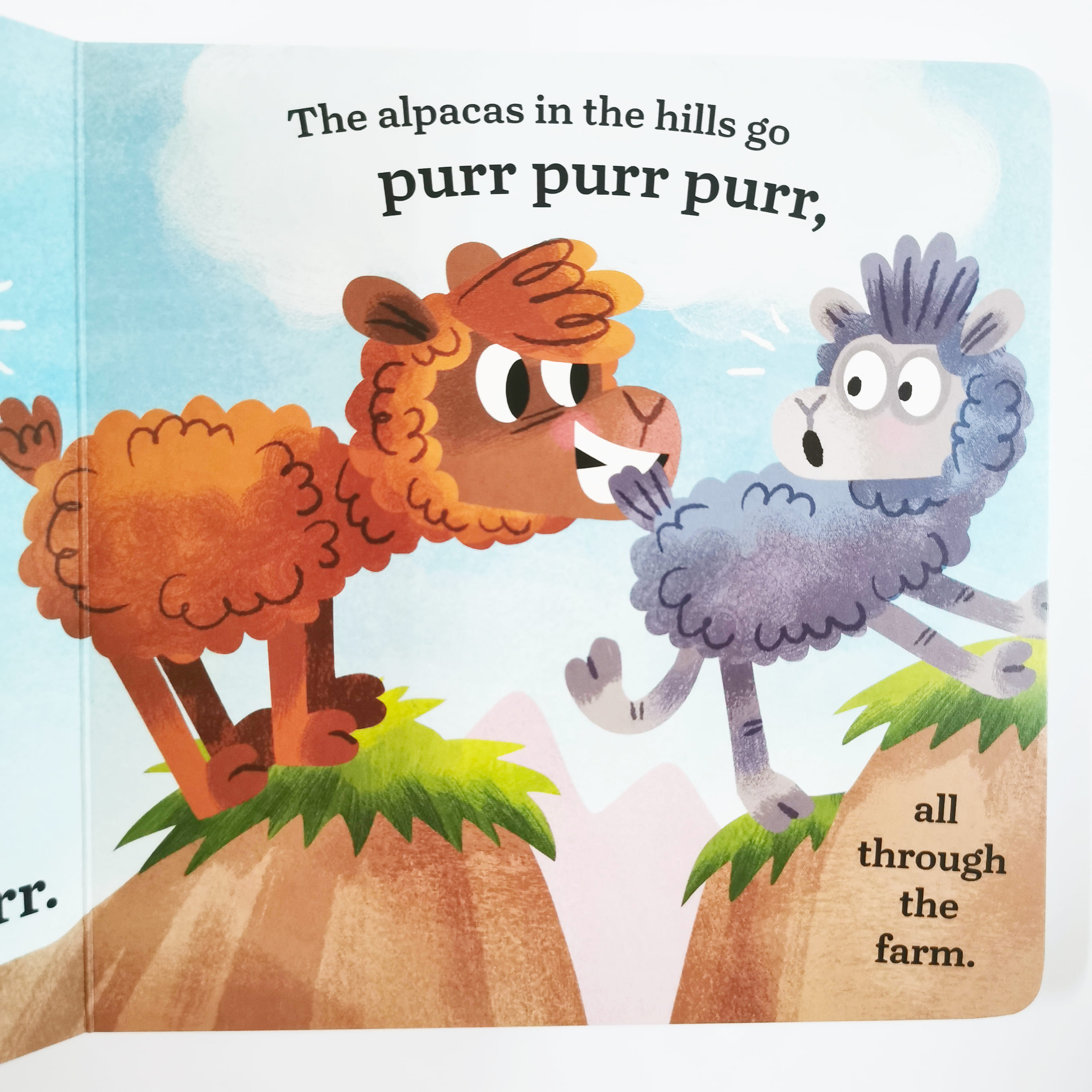 The Llamas in the Field