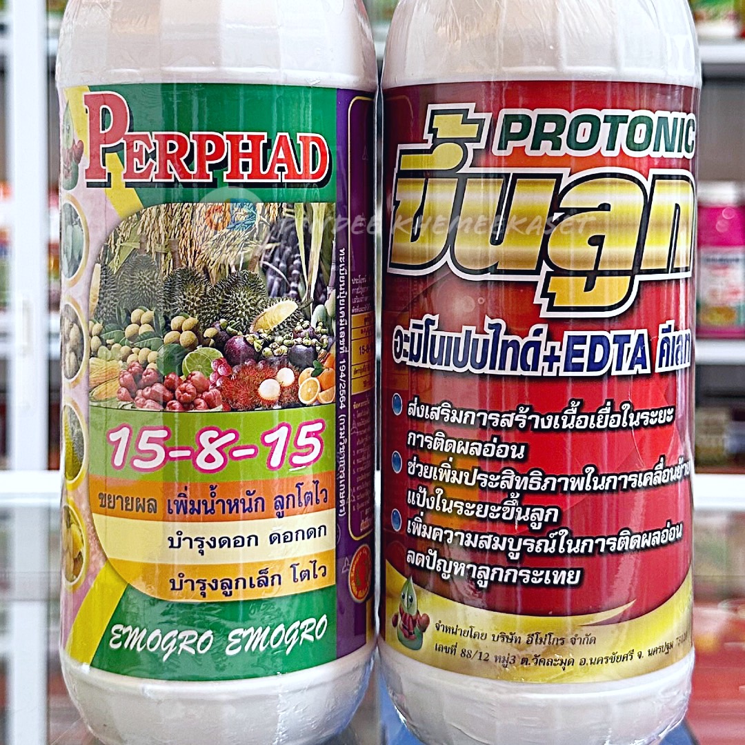 (ชุด 2 ขวด) ปุ๋ยน้ำ 15-8-15 ปุ๋ยน้ำฉีดทางใบ ขนาด 1 ลิตร+โปรโตรนิก (Protonic)-ขึ้นลูก -ขนาด 1 ลิตร