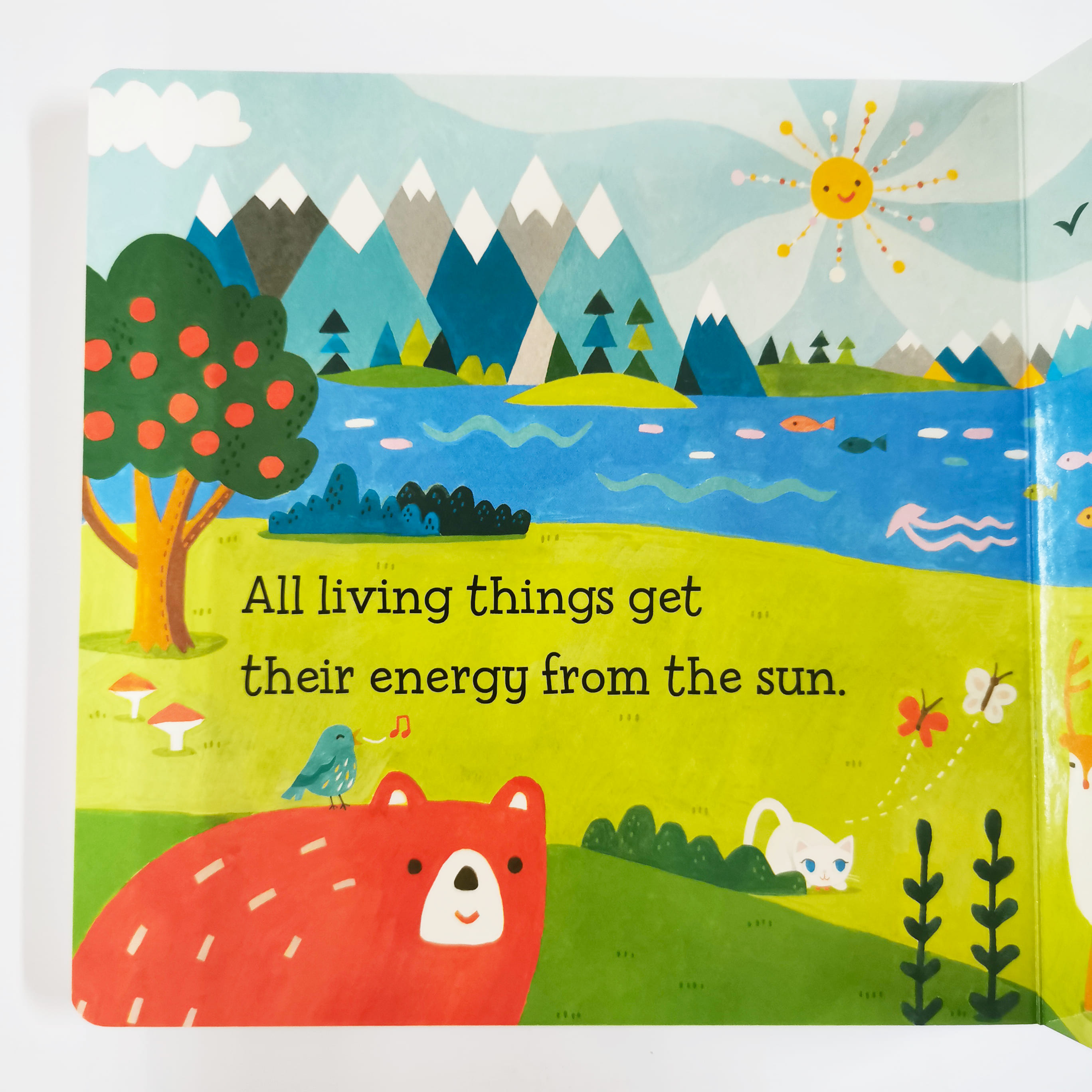 Baby Loves Thermodynamics! (Baby Loves Science)