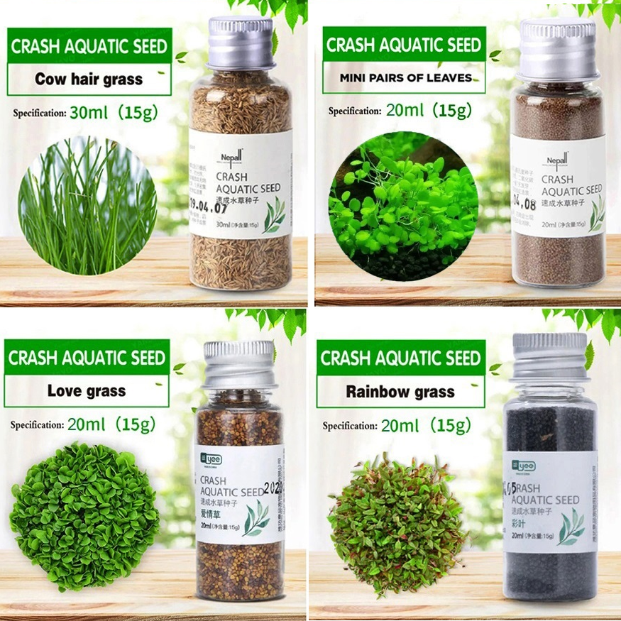 Nepall Aquatic Plant SET ชุดปลูกไม้น้ำ ดินและเมล็ดพันธุ์ไม้น้ำ ปลูกง่าย สร้างระบบนิเวศธรรมชาติในตู้ปลา