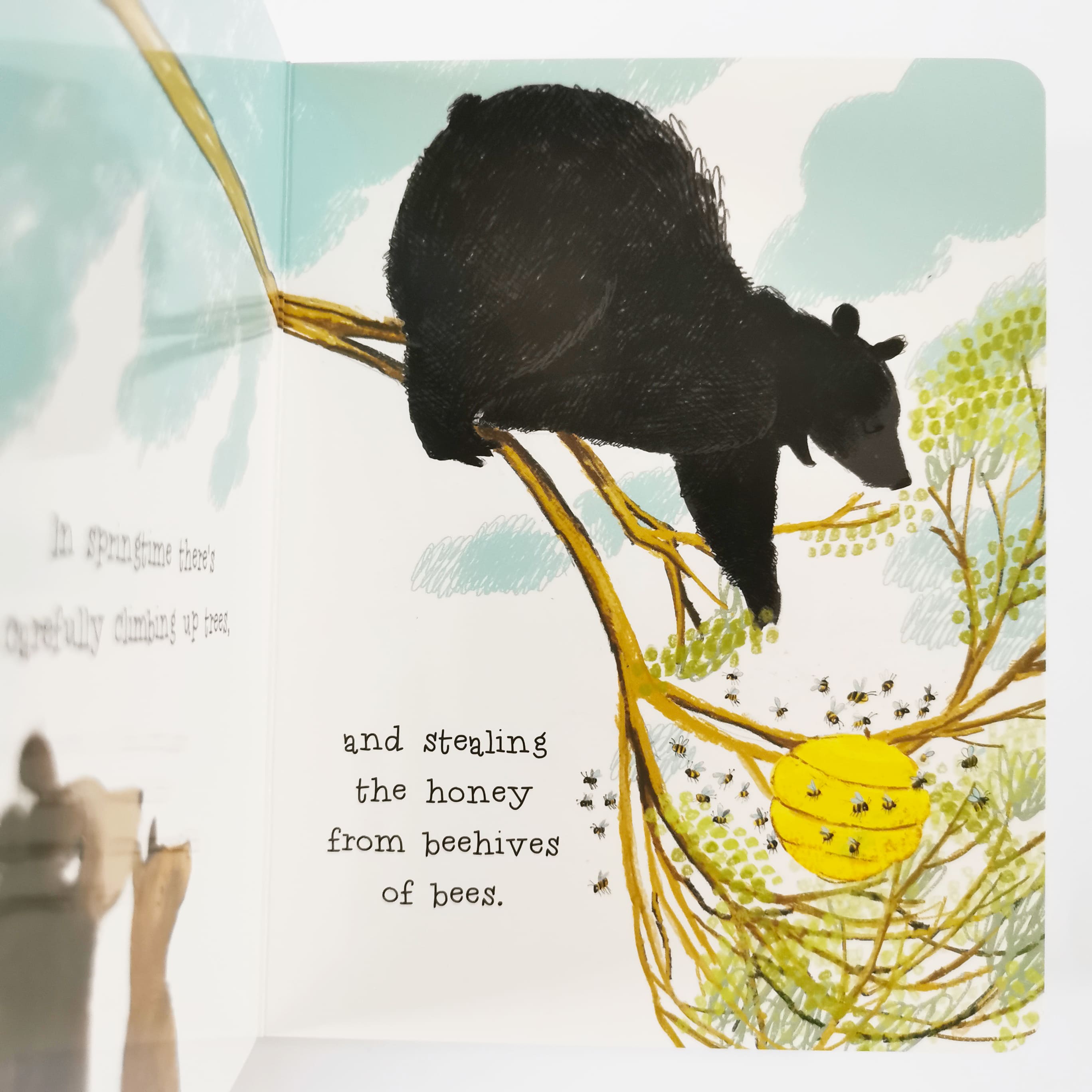 The Curious Cares of Bears