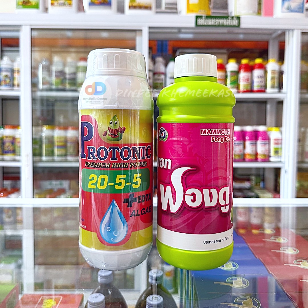 (ชุด2ขวด) ปุ๋ยน้ำ 20-5-5 + EDTA Zn S ALGAE ปุ๋ยน้ำทางใบ ขนาด 1 ลิตร+แมมมอท ฟองดู ขนาด 1 ลิตร เป็นสาหร่ายสีเขียวเข้มข้น