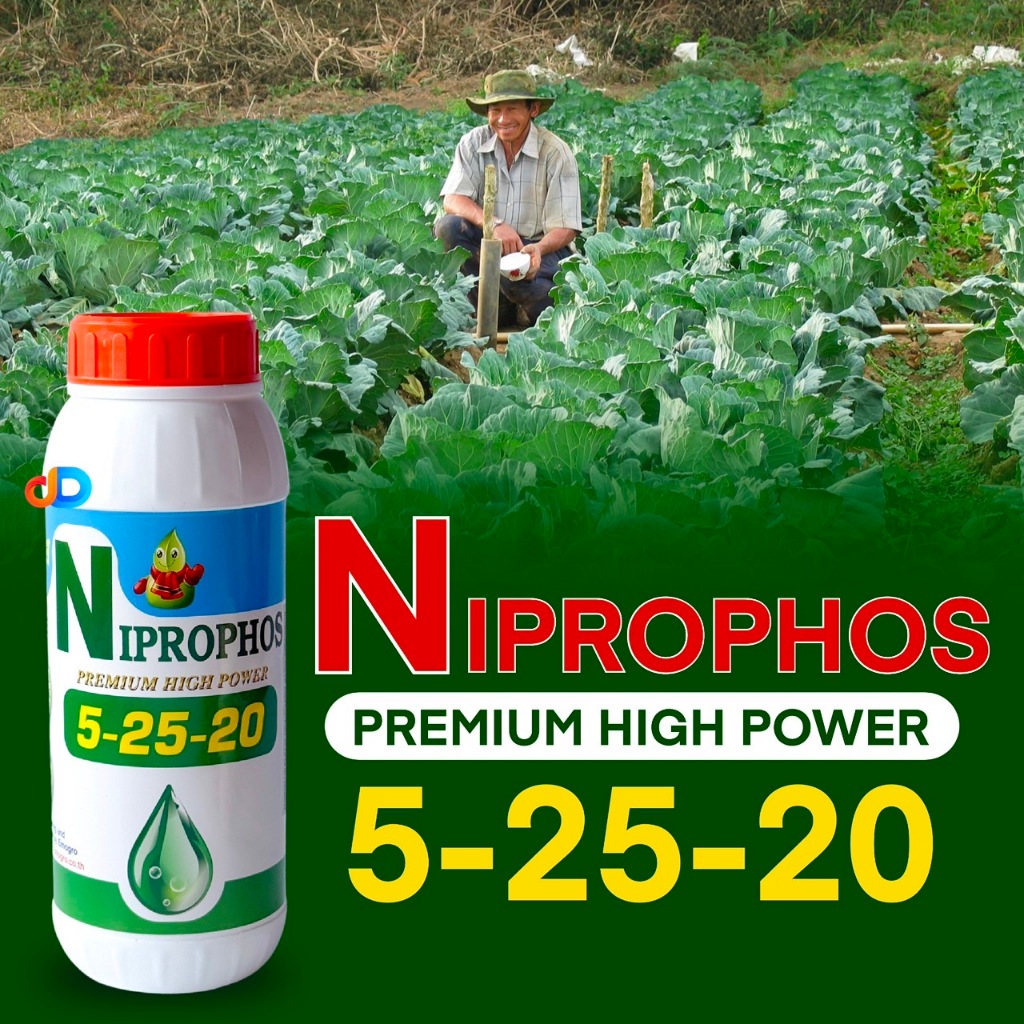 ปุ๋ยน้ำ 5-25-20 ปุ๋ยน้ำฉีดทางใบ ขนาด 1 ลิตร สูตรอั้นยอด สะสมดอก ดอกดก ดอกใหญ่ ดอกดี ดอกสมบูรณ์