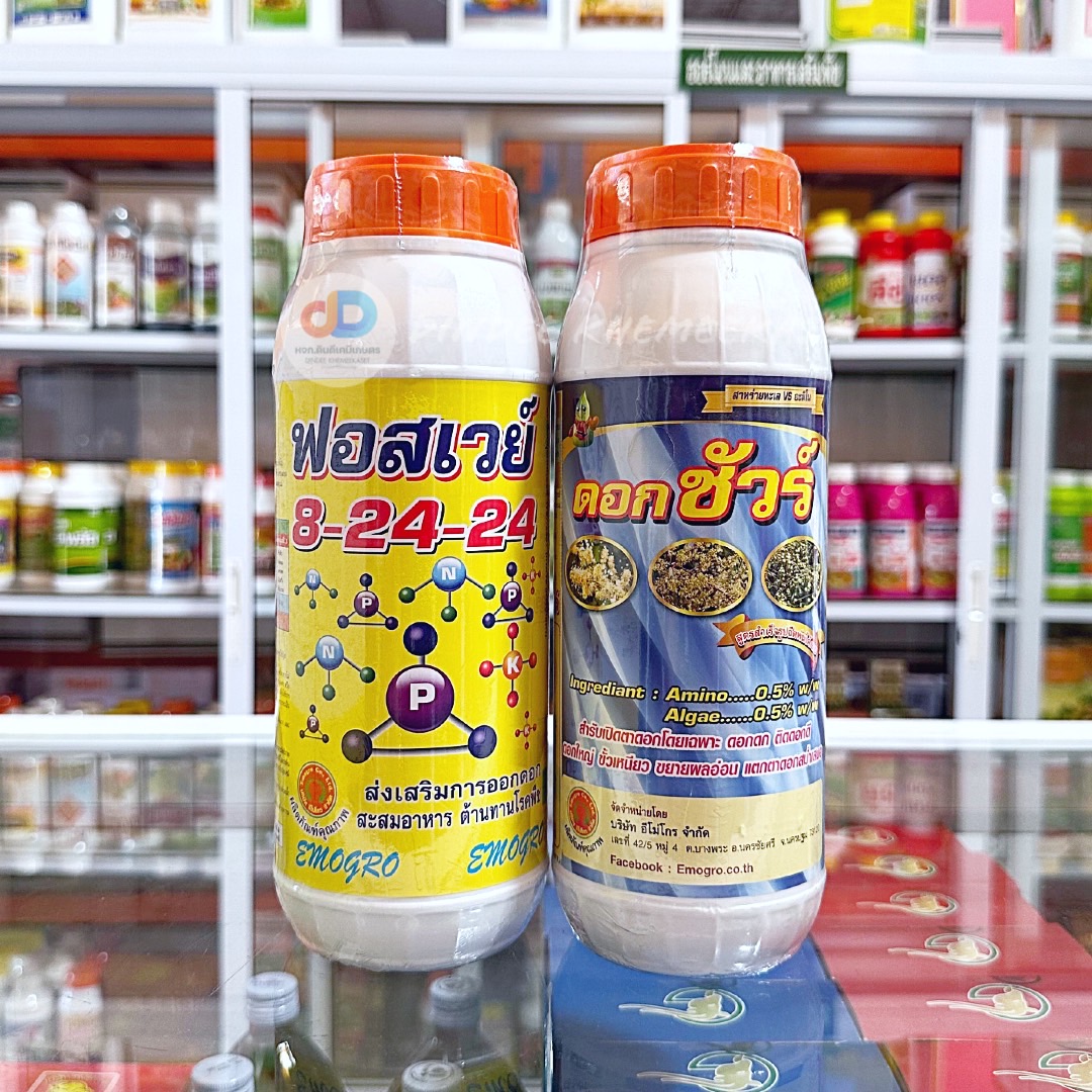 (ชุด 2 ขวด ) ปุ๋ยน้ำ 8-24-24 ขนาด 1 ลิตร ส่งเสริมการออกดอก+ดอกชัวร์ เบสฟอร์+ดอกชัวร์ ขนาด 1 ลิตร
