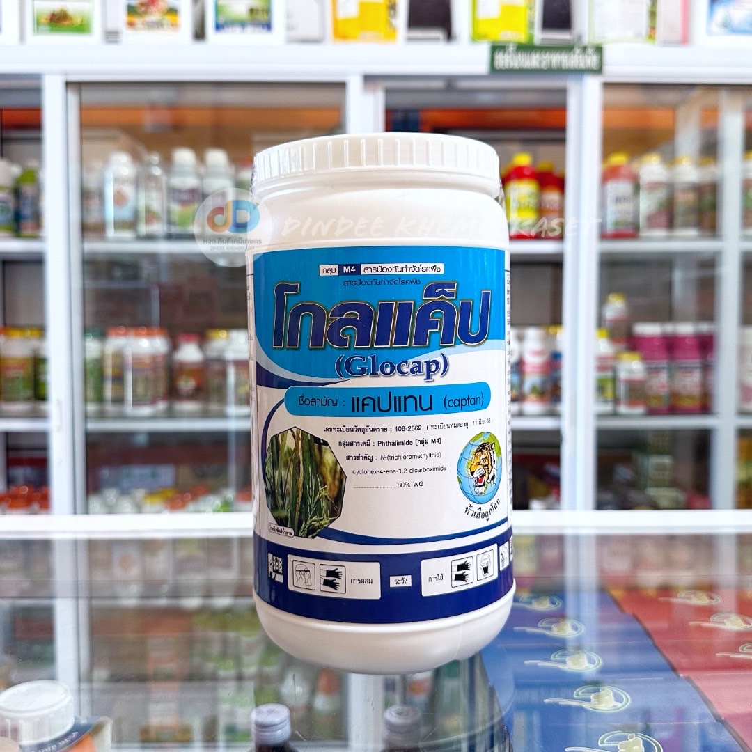 โกลแค็ป ขนาด 1 กิโลกรัม สารป้องกันกำจัดโรคใบจุด ใบขีด แอนแทรคโนส ในพืชต่างๆ