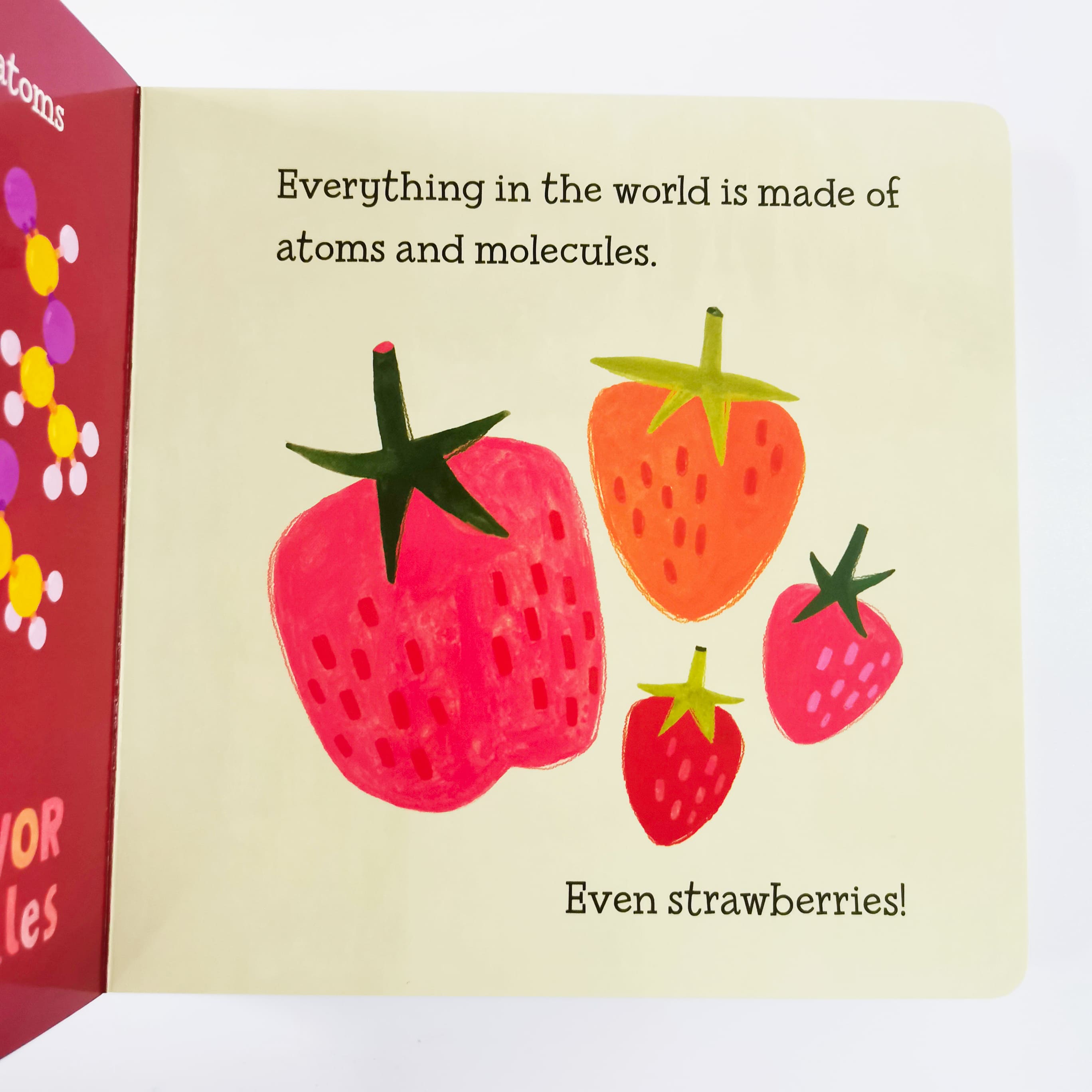 Baby Loves Taste! (The Five Senses)