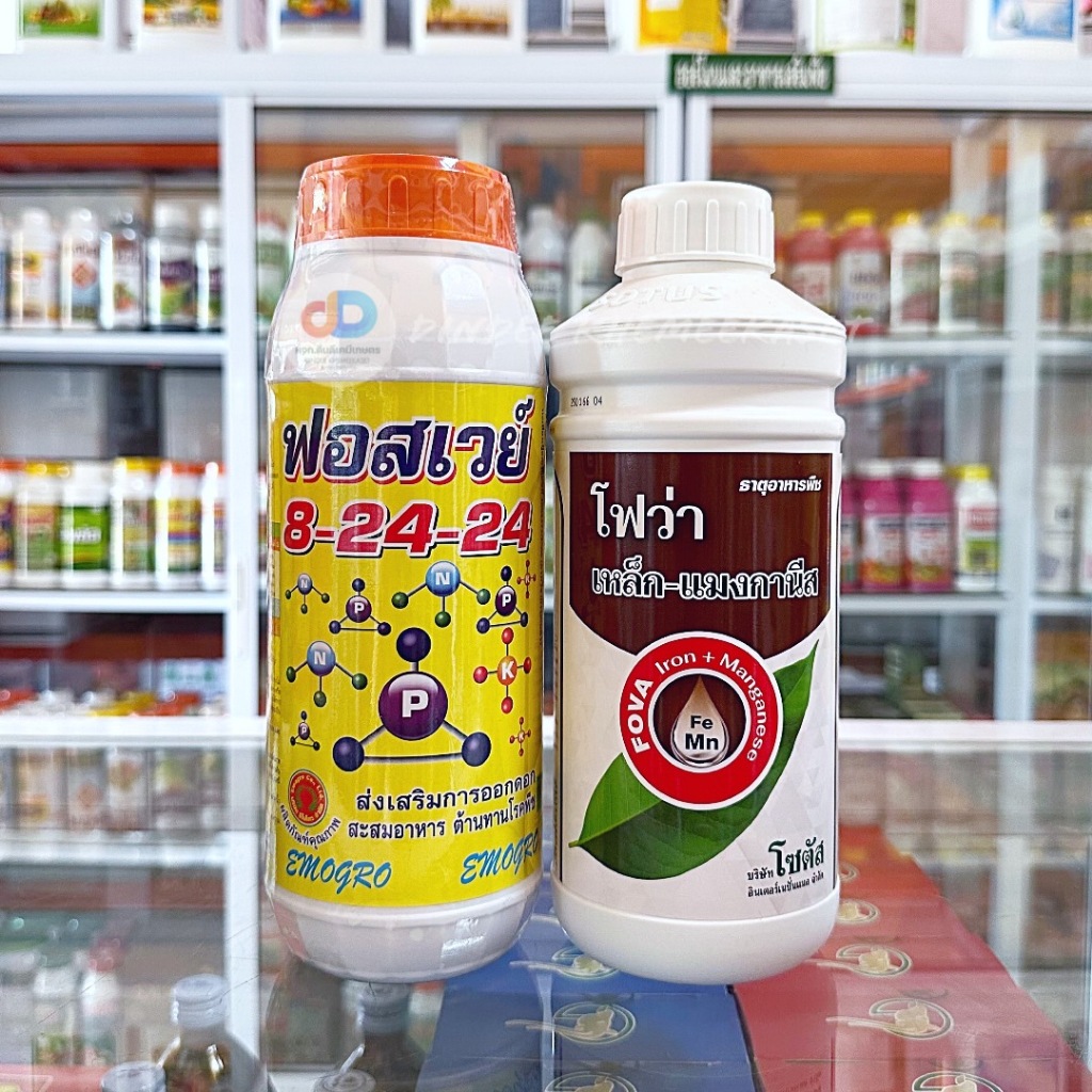 (ชุด2ขวด) ปุ๋ยน้ำฟอสเวย์ 8-24-24 ขนาด1 ลิตร ส่งเสริมการออกดอก+โฟว่าเหล็ก-แมงกานีส ส่งเสริมการผลิดอกขนาด1ลิตร ตราโซตัส