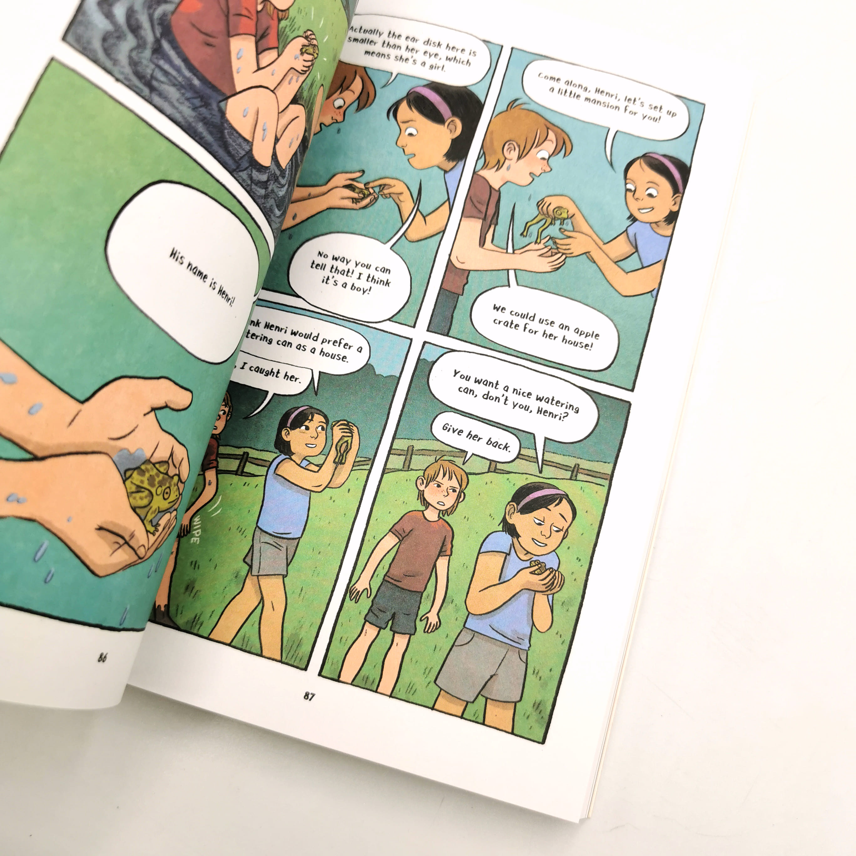 Stepping Stones (Peapod Farm #1)