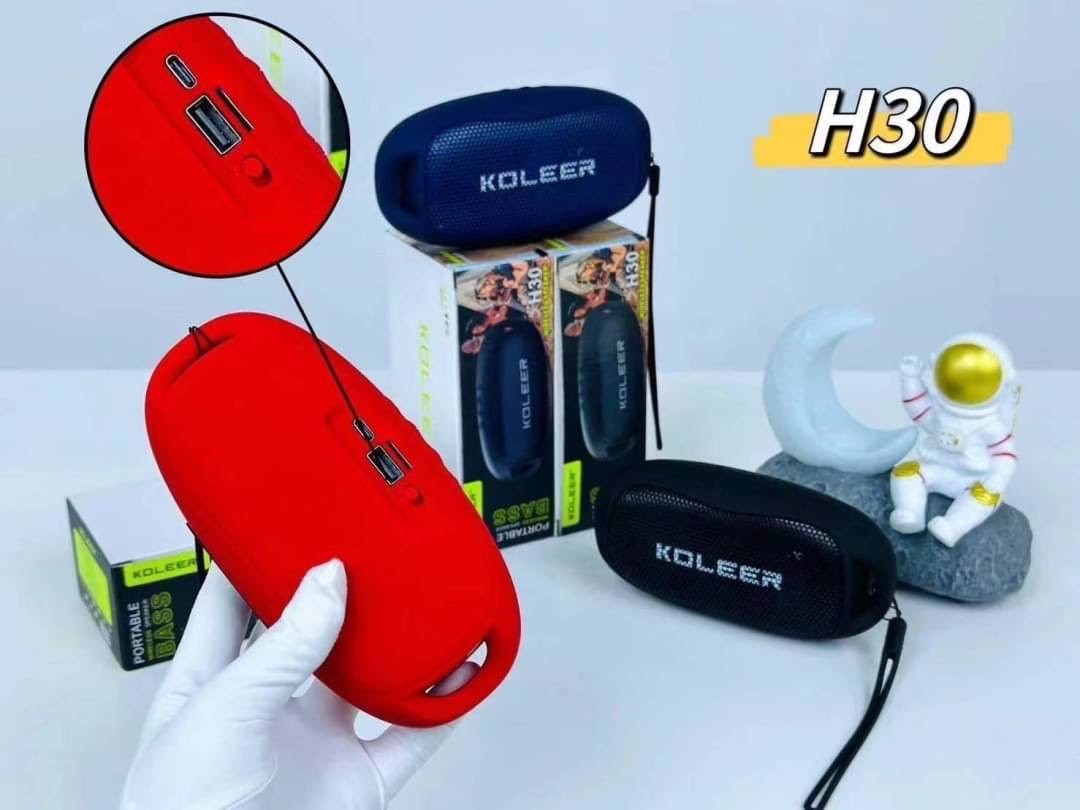 KOLEER H30