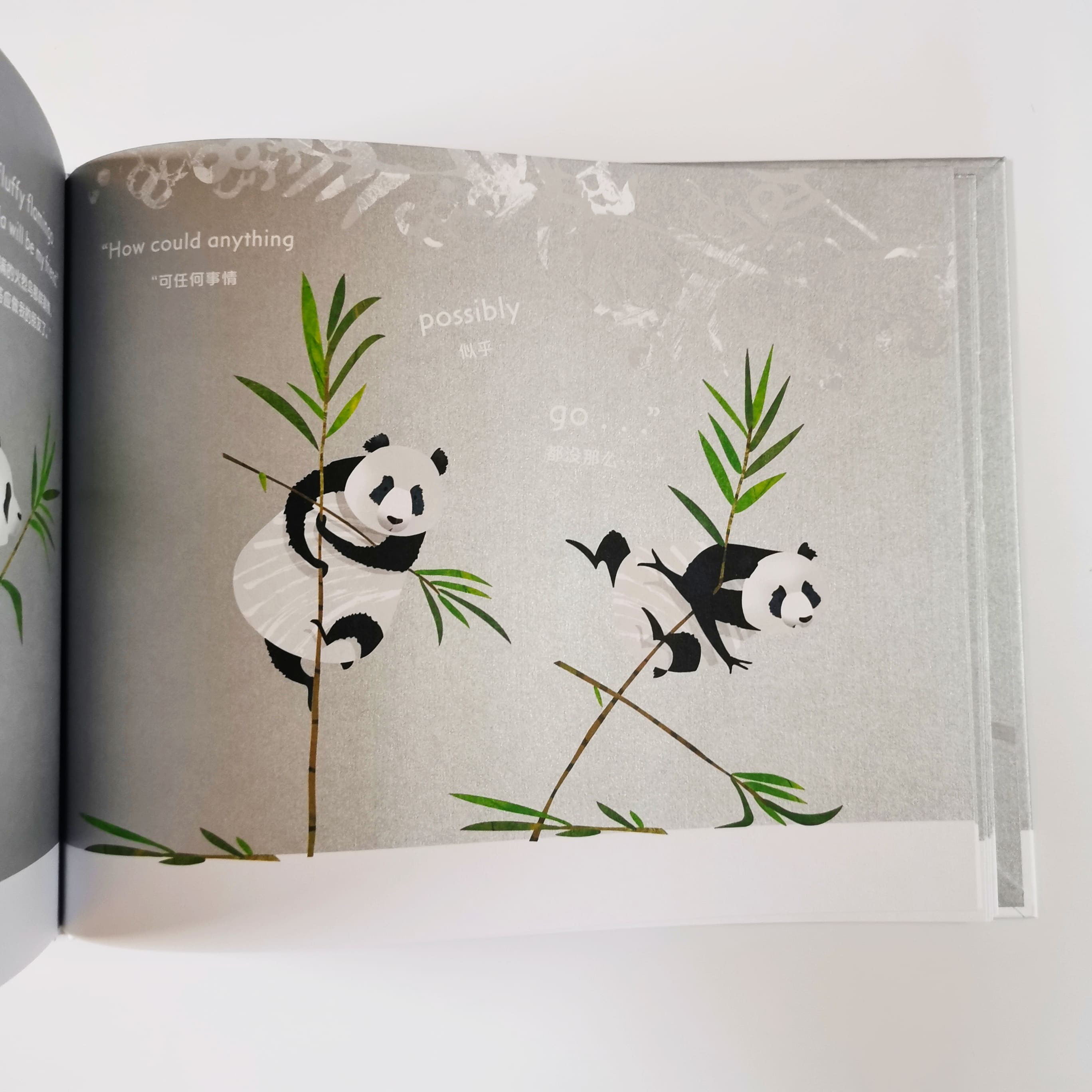 The Only Lonely Panda 我想和你交朋友