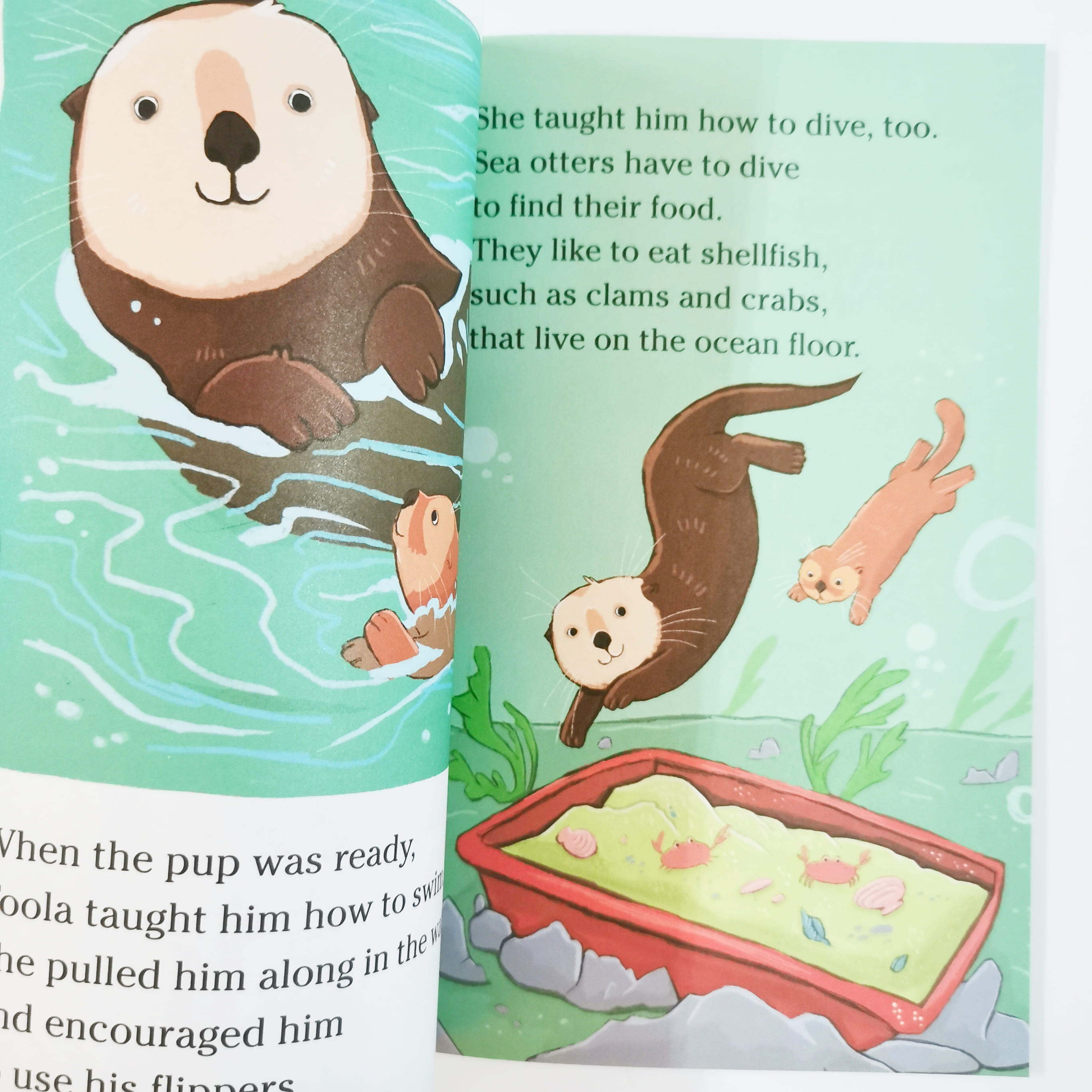 A Sea Otter to the Rescue (Tails from History)